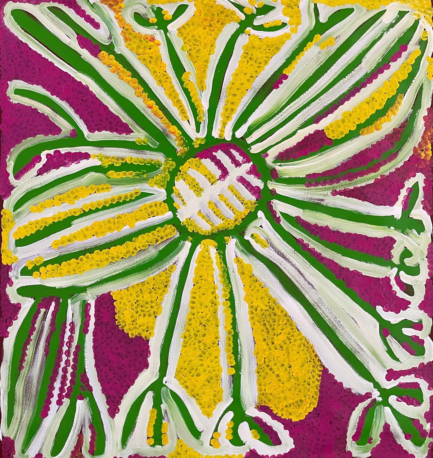 Bush Potato | 101-527