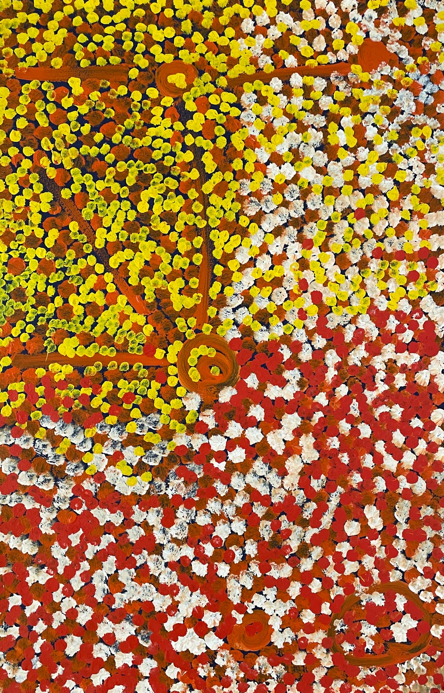 Caterpillar Dreaming | 101-568