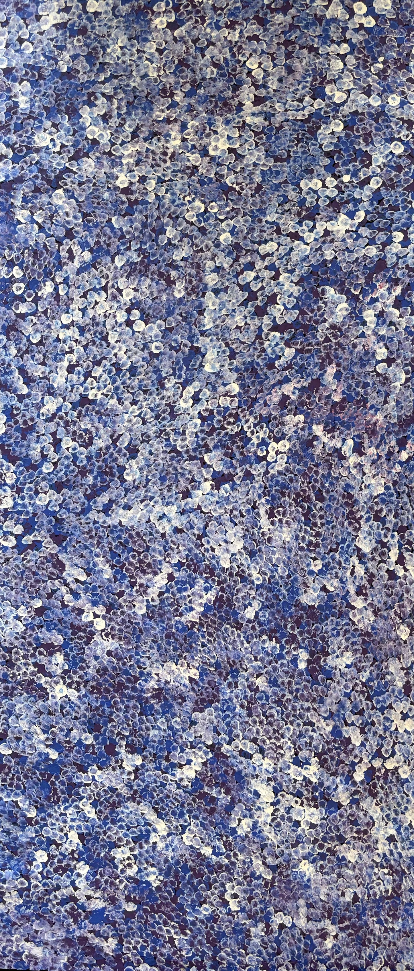Bush Plum | CA-BGO01
