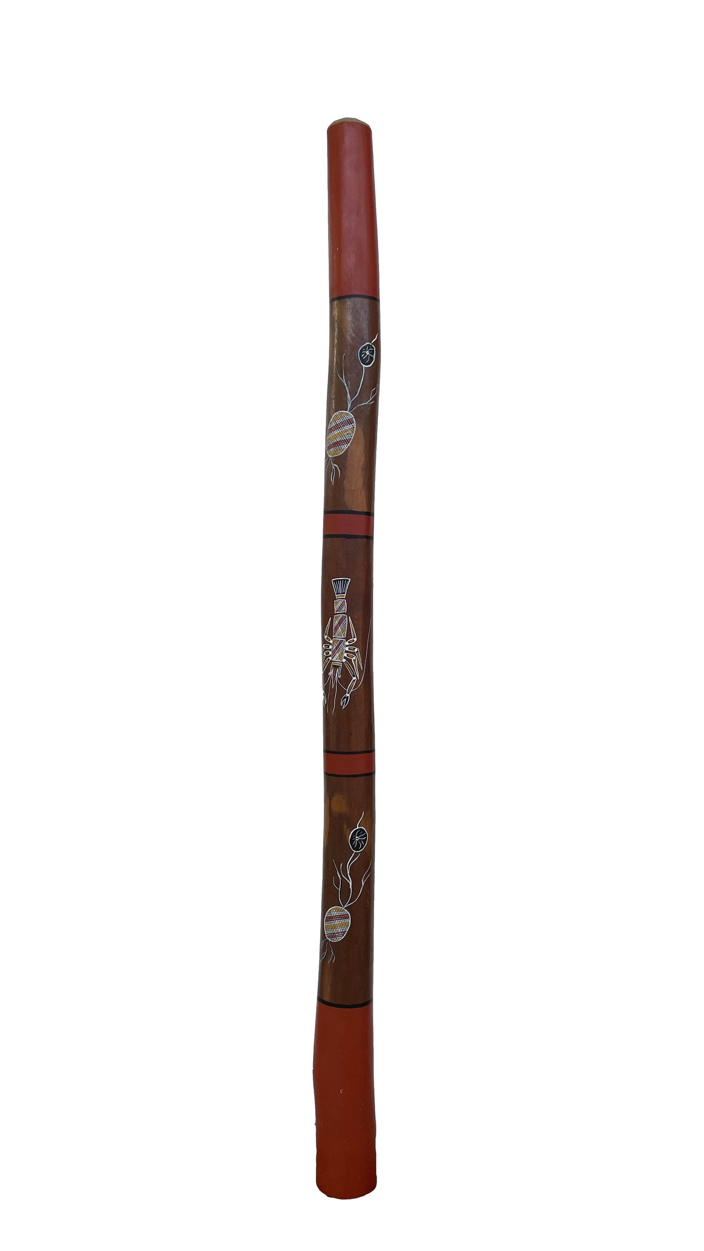 Didgeridoo | D-016