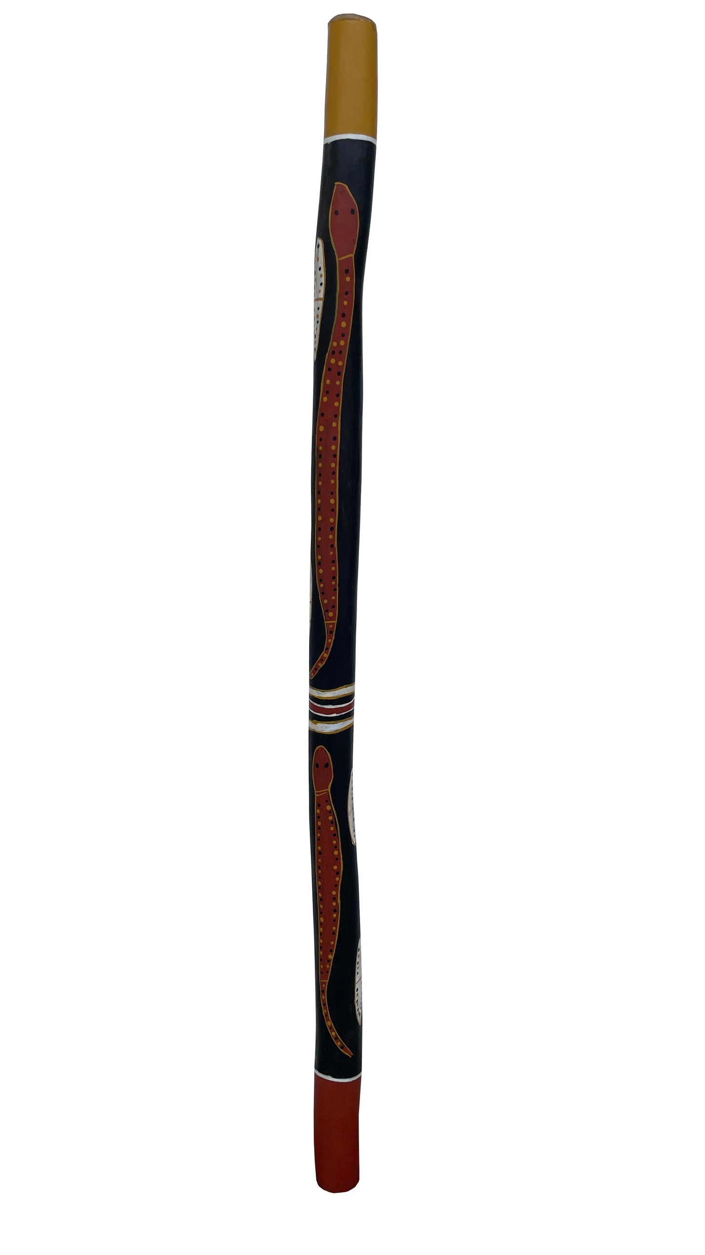 Didgeridoo | D-046
