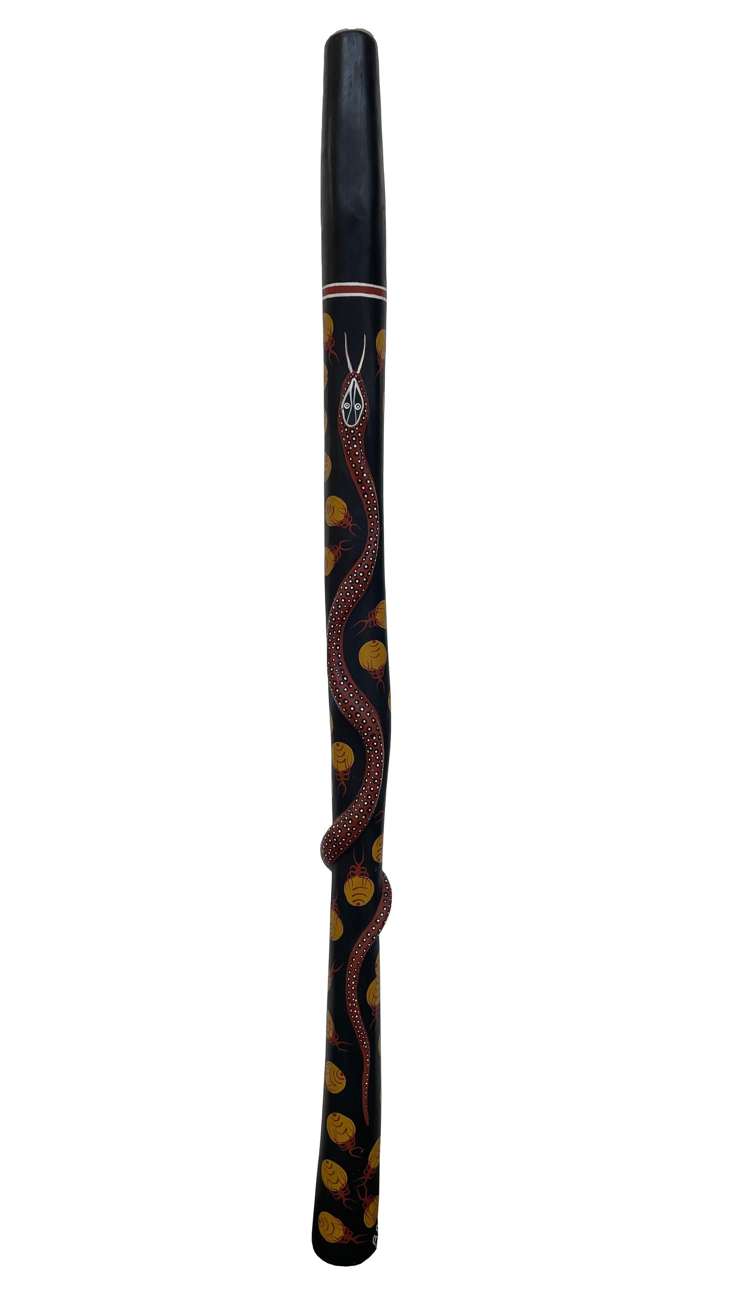 Didgeridoo | D-048