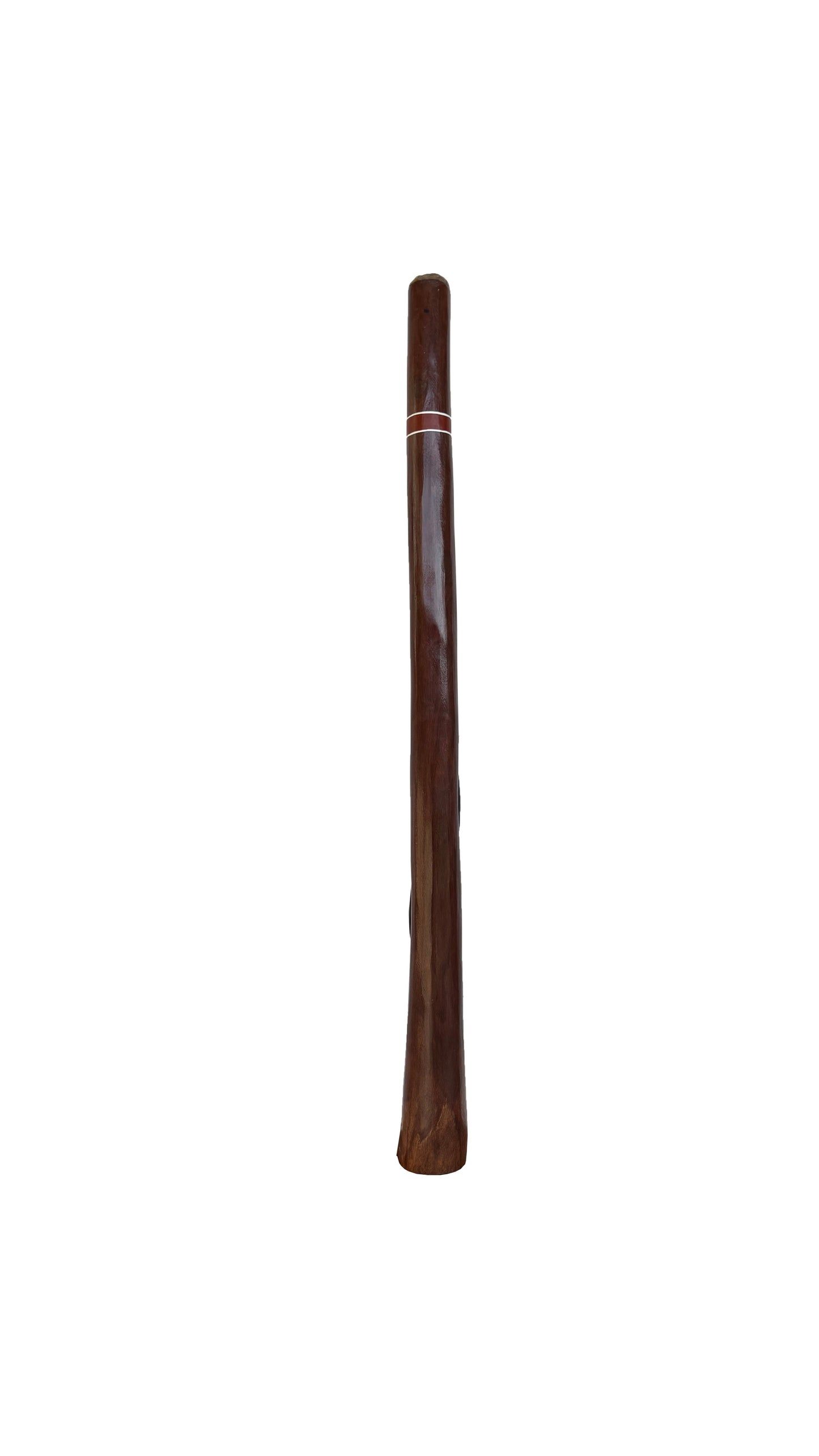 Didgeridoo | D-083