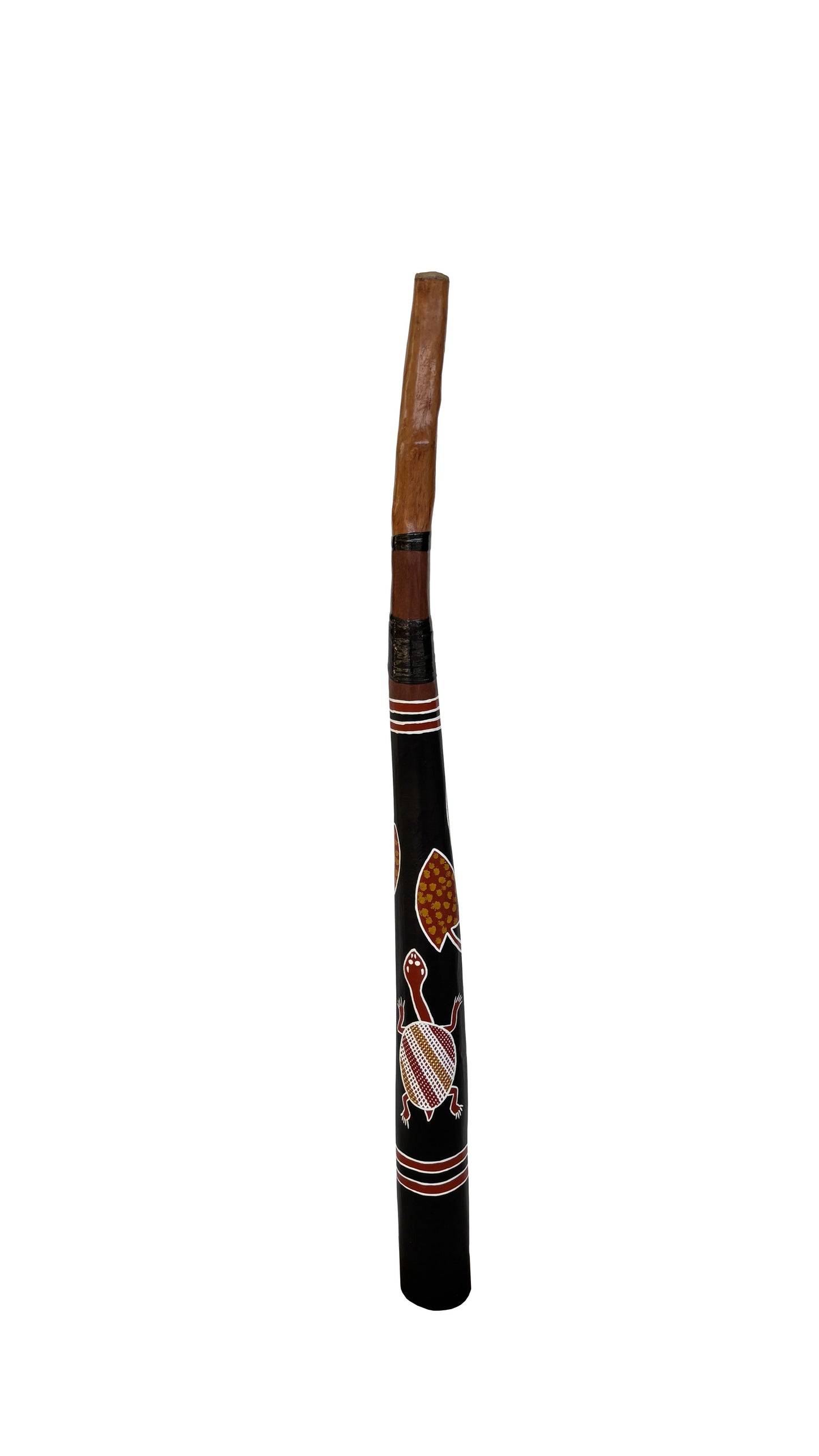 Fusion Didgeridoo | D-095