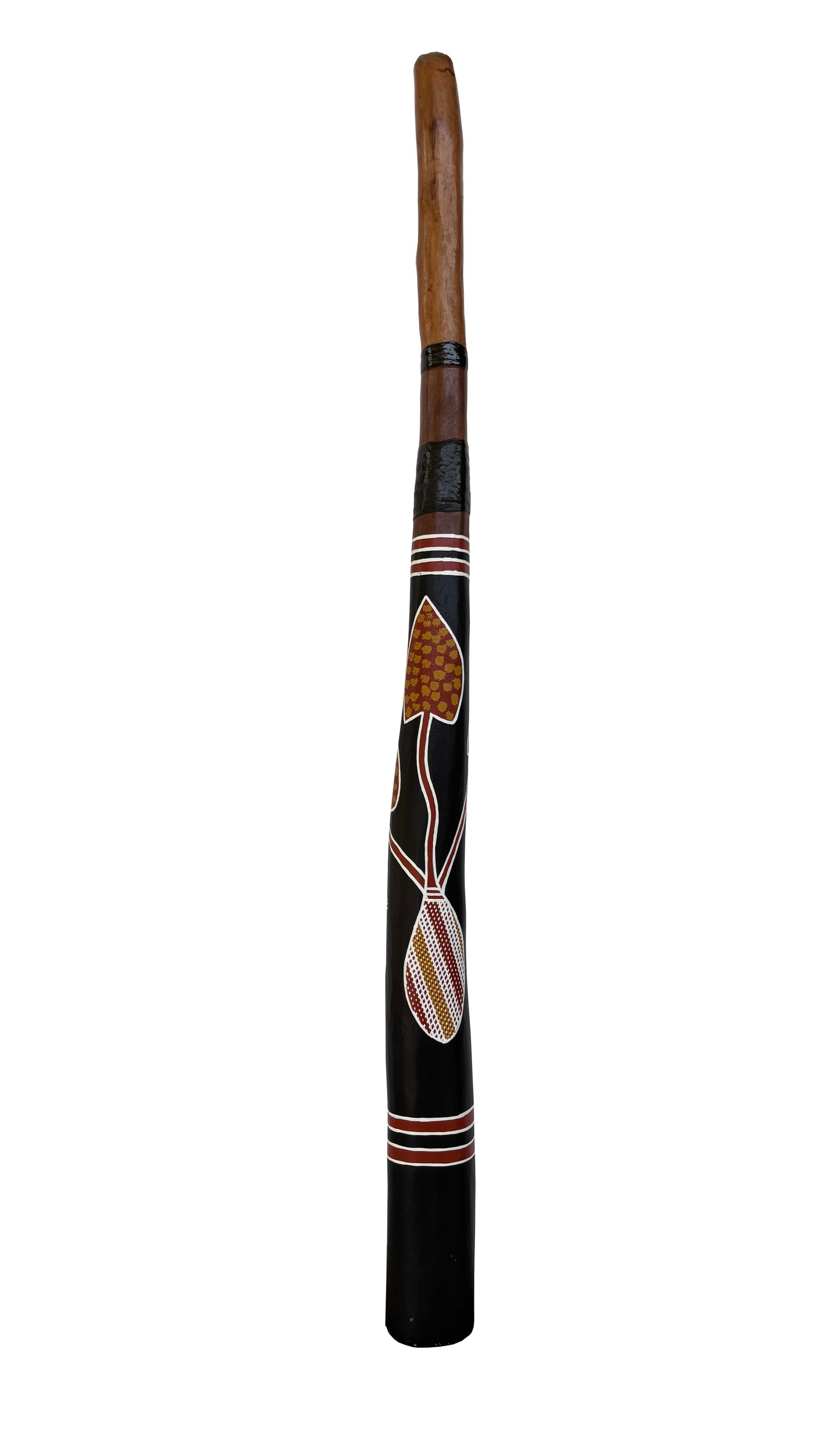 Fusion Didgeridoo | D-095