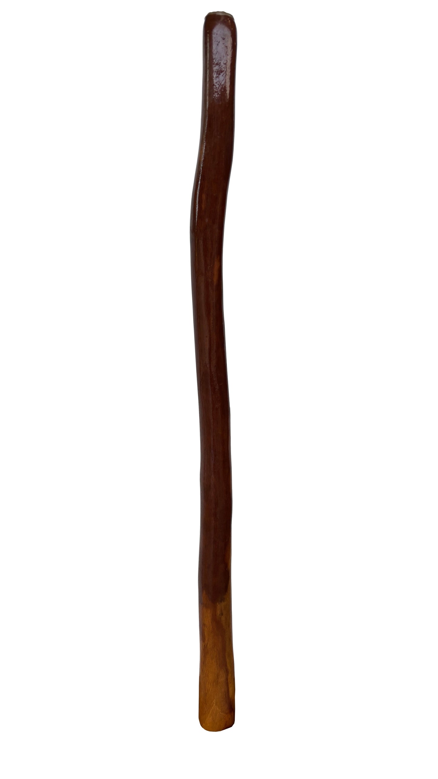 Didgeridoo | D-100