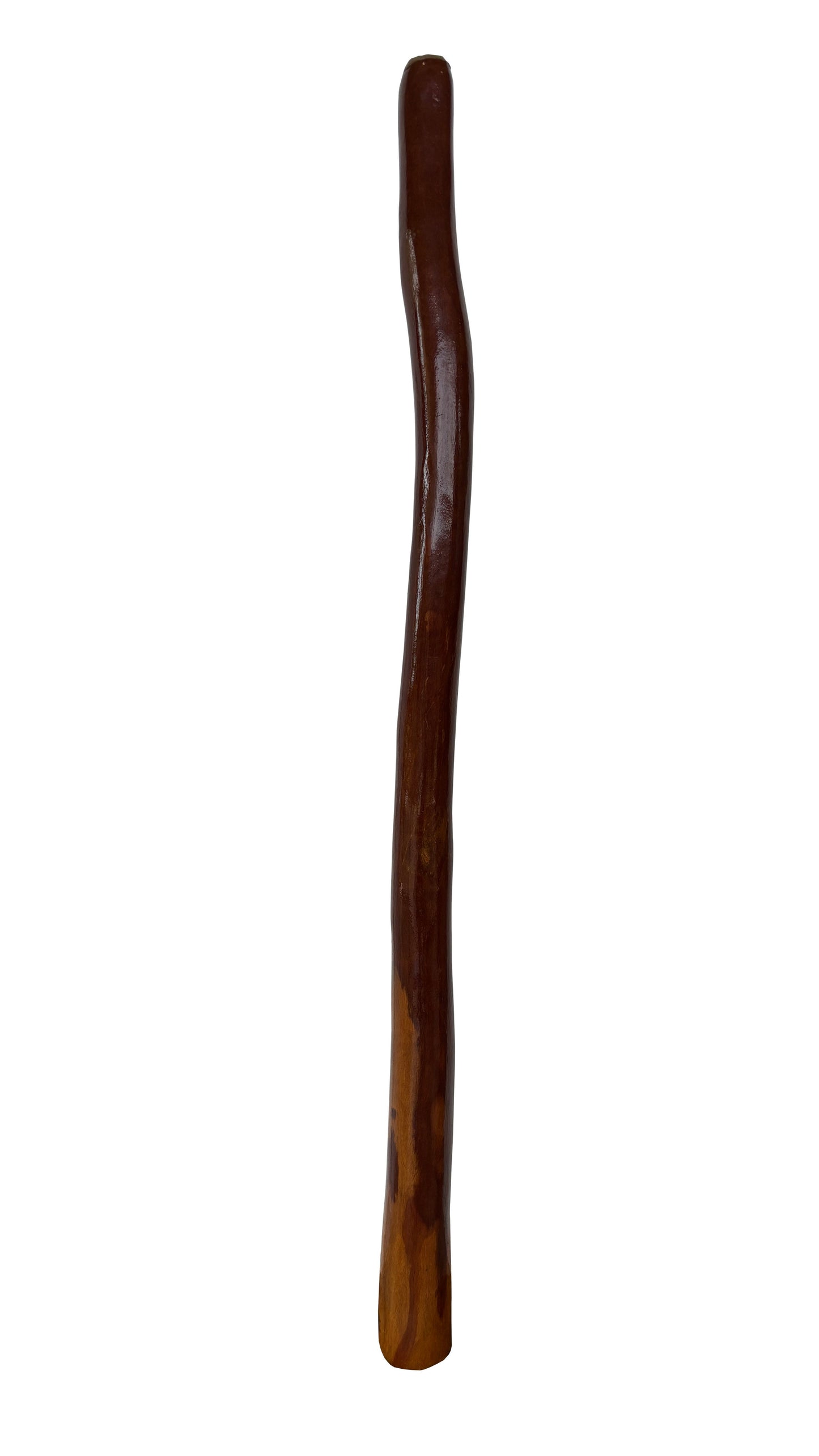 Didgeridoo | D-100