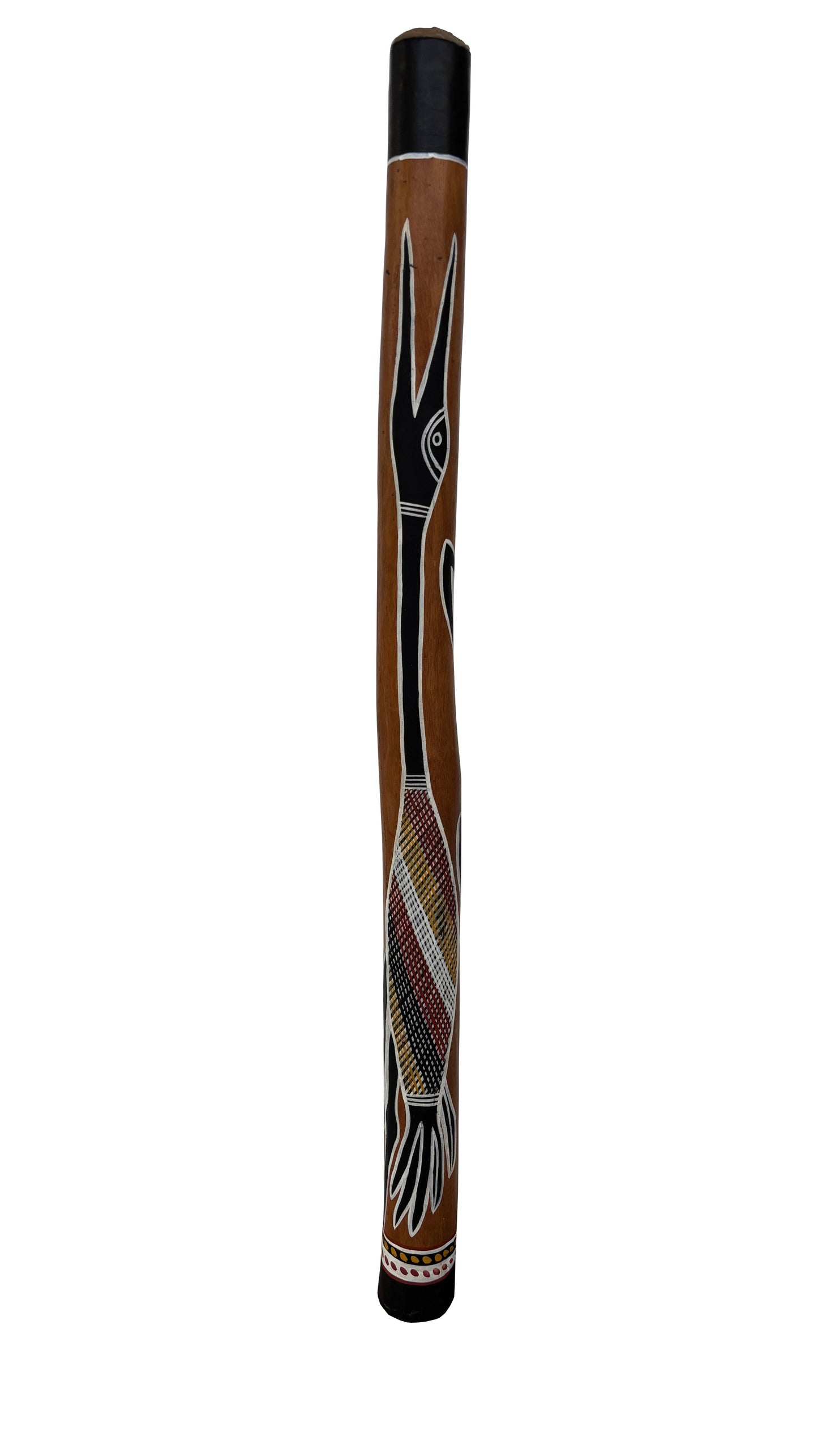 Didgeridoo | D-101