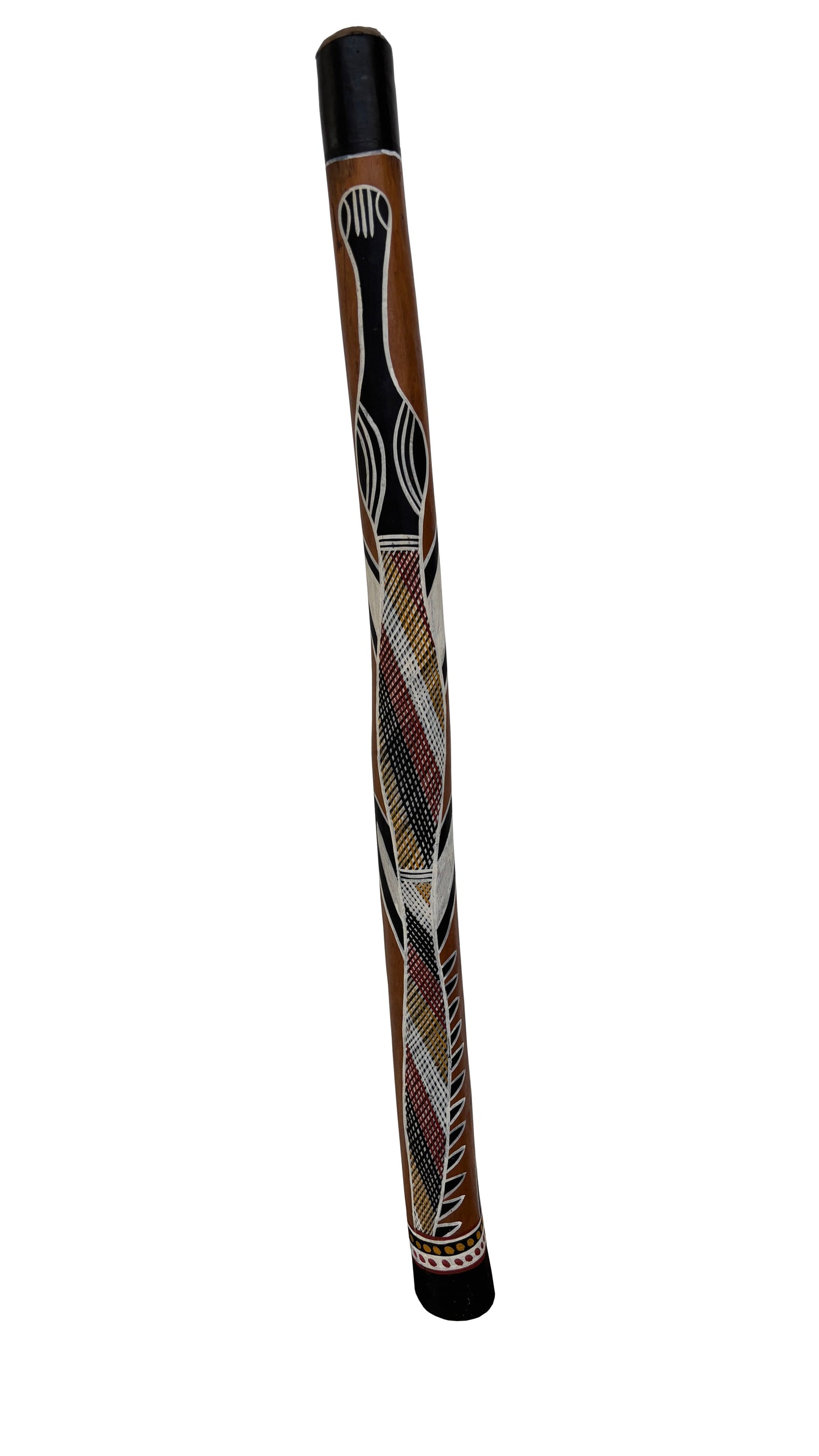 Didgeridoo | D-101