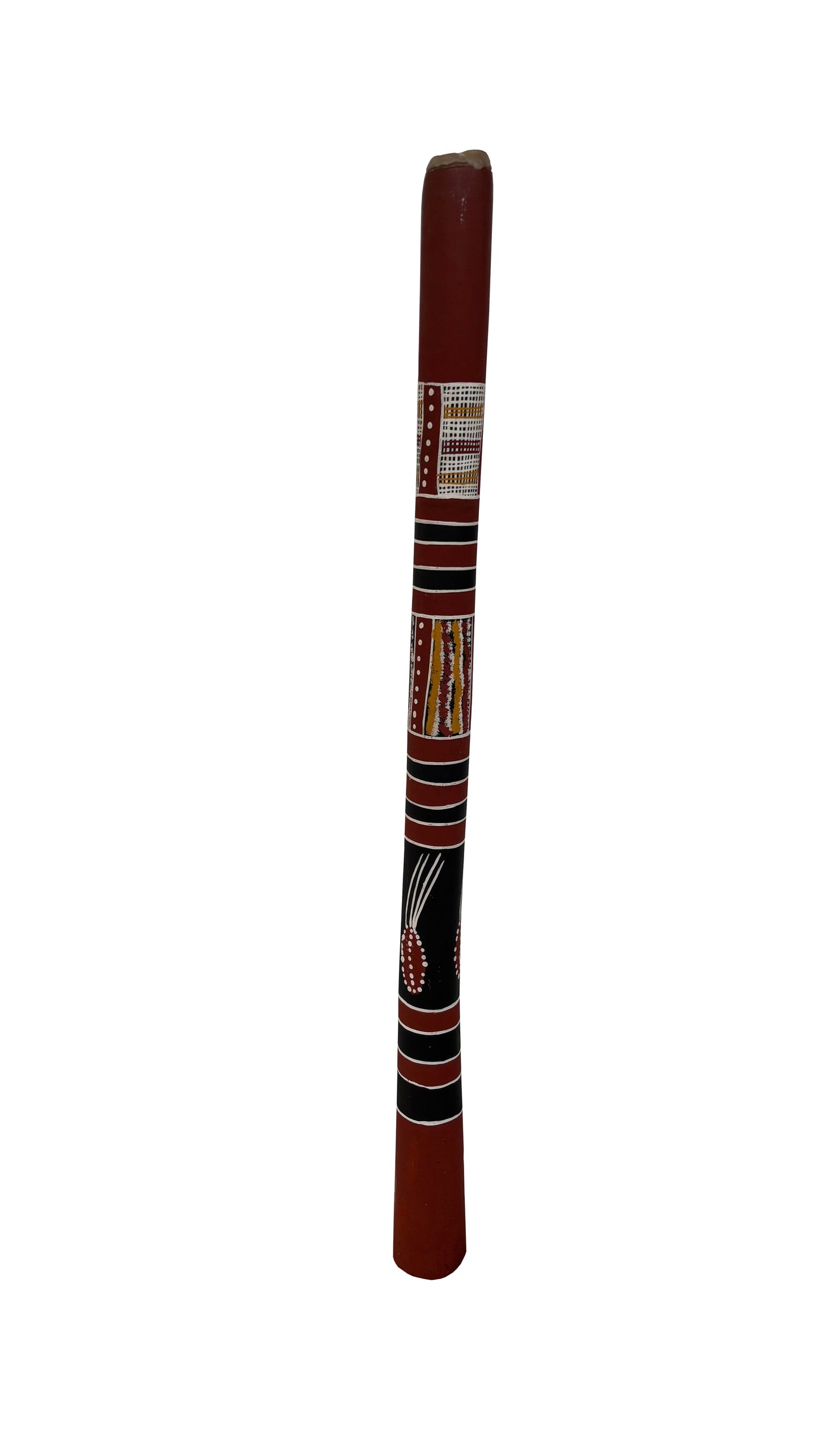 Didgeridoo | D-103