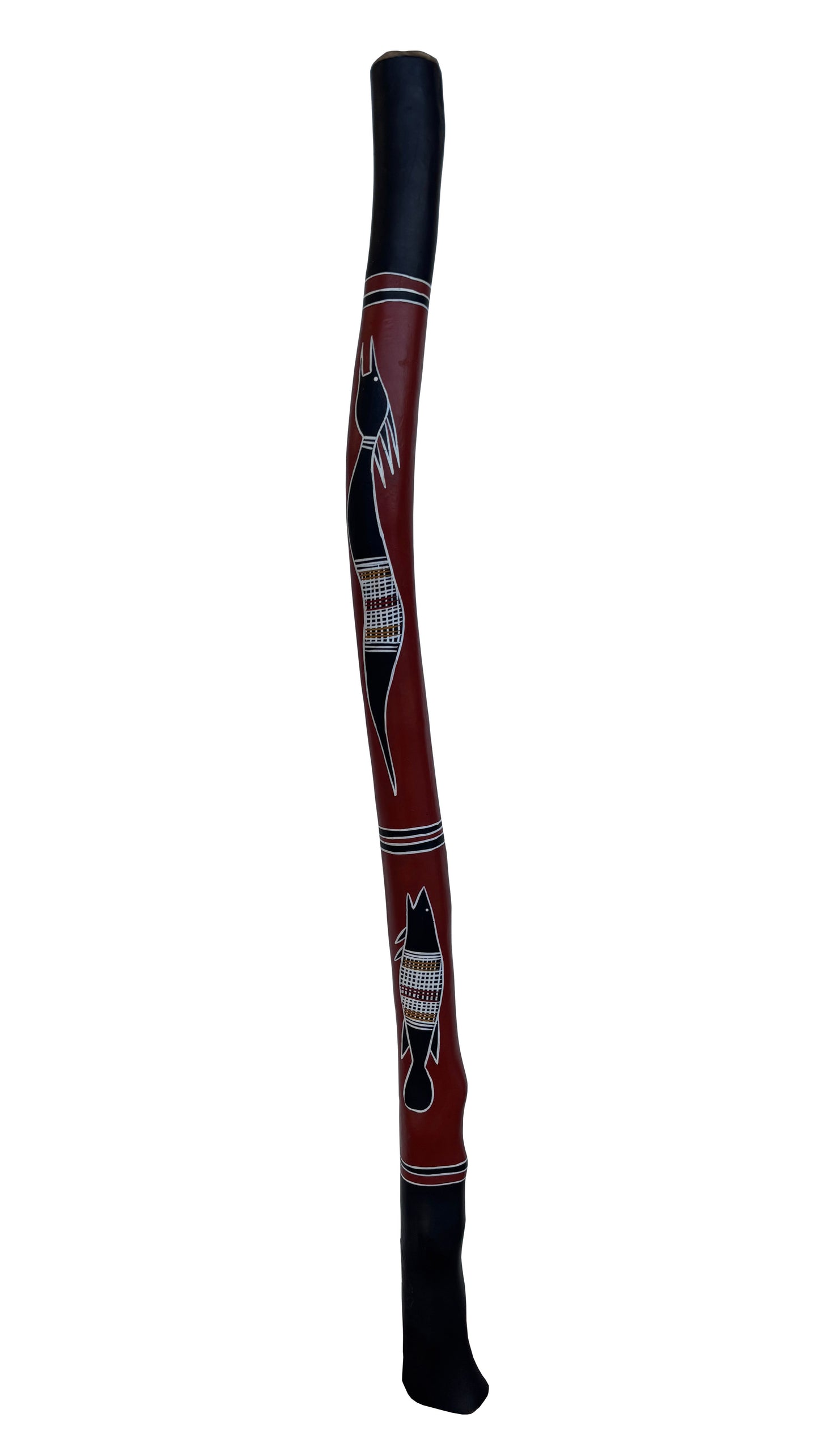 Didgeridoo | D-104