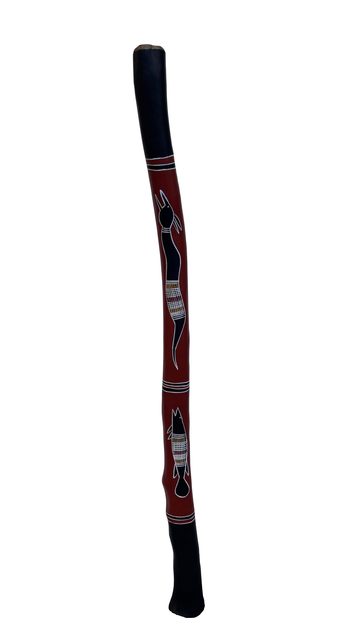 Didgeridoo | D-104