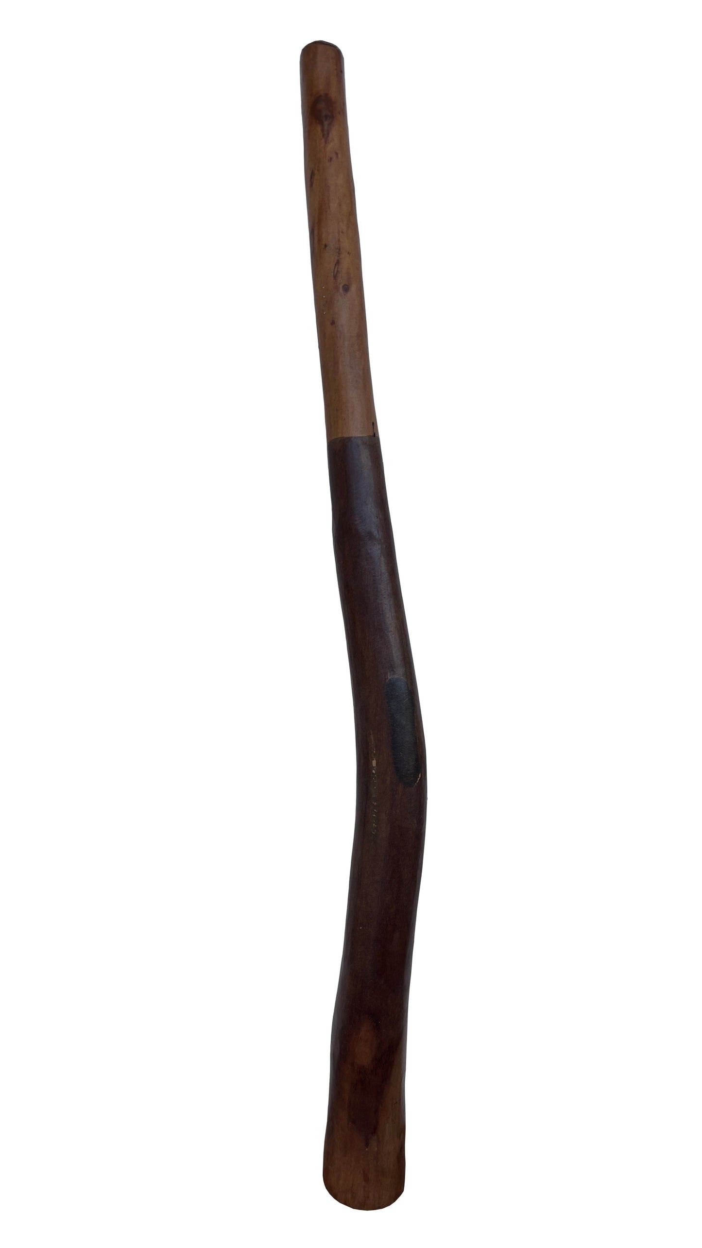 Didgeridoo | D-107