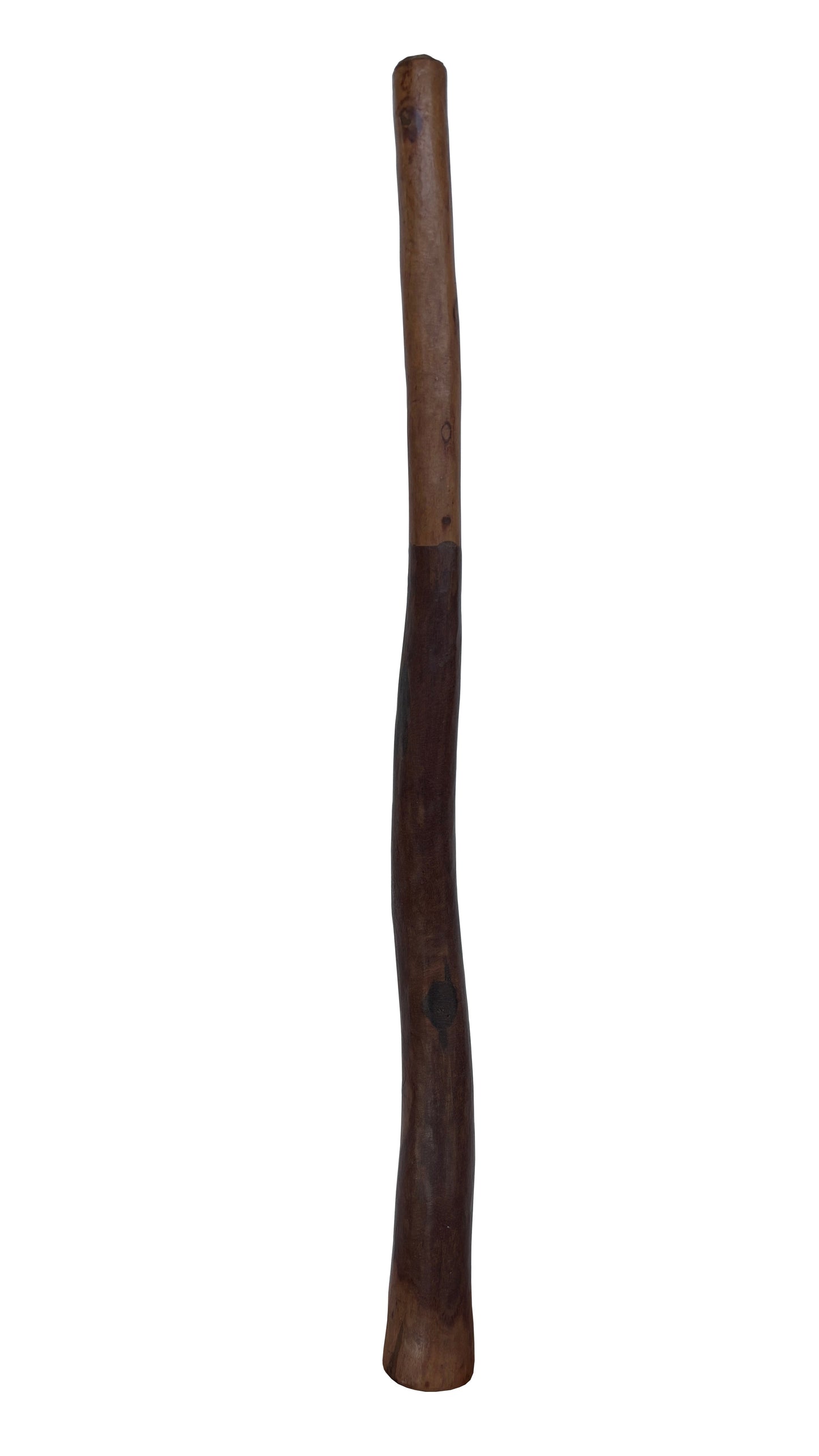 Didgeridoo | D-107
