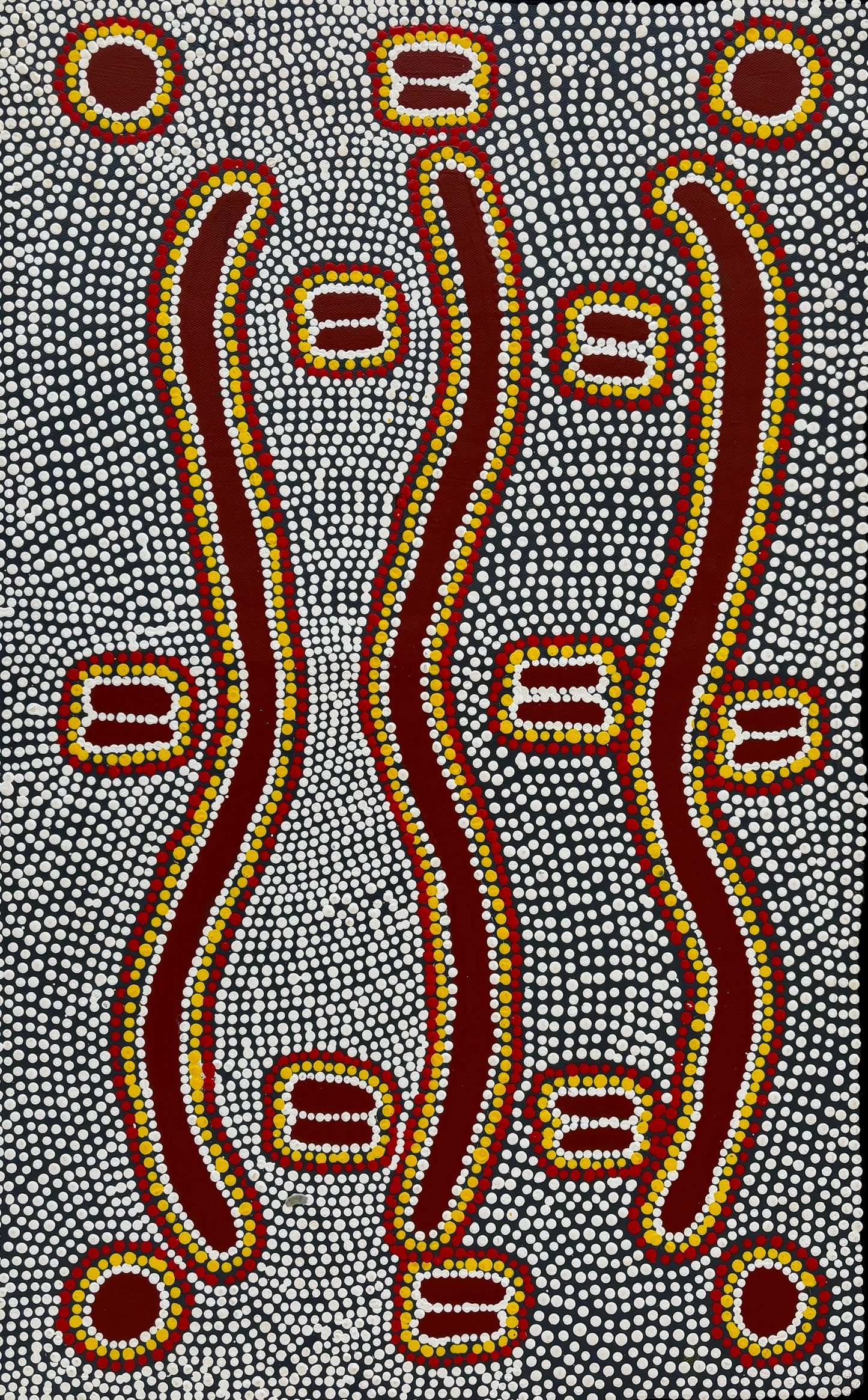 Snake Dreaming | GA-1325