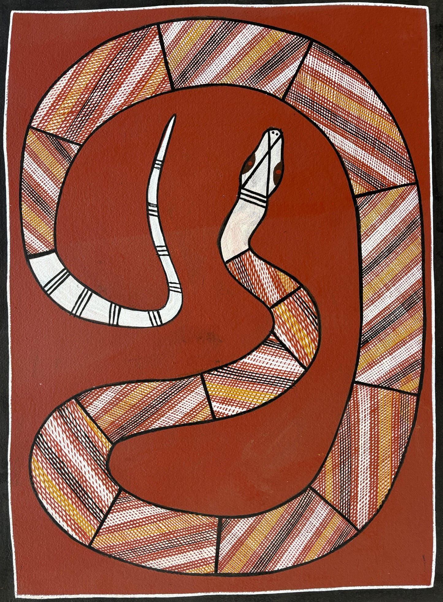 Rock Python | GA-2212