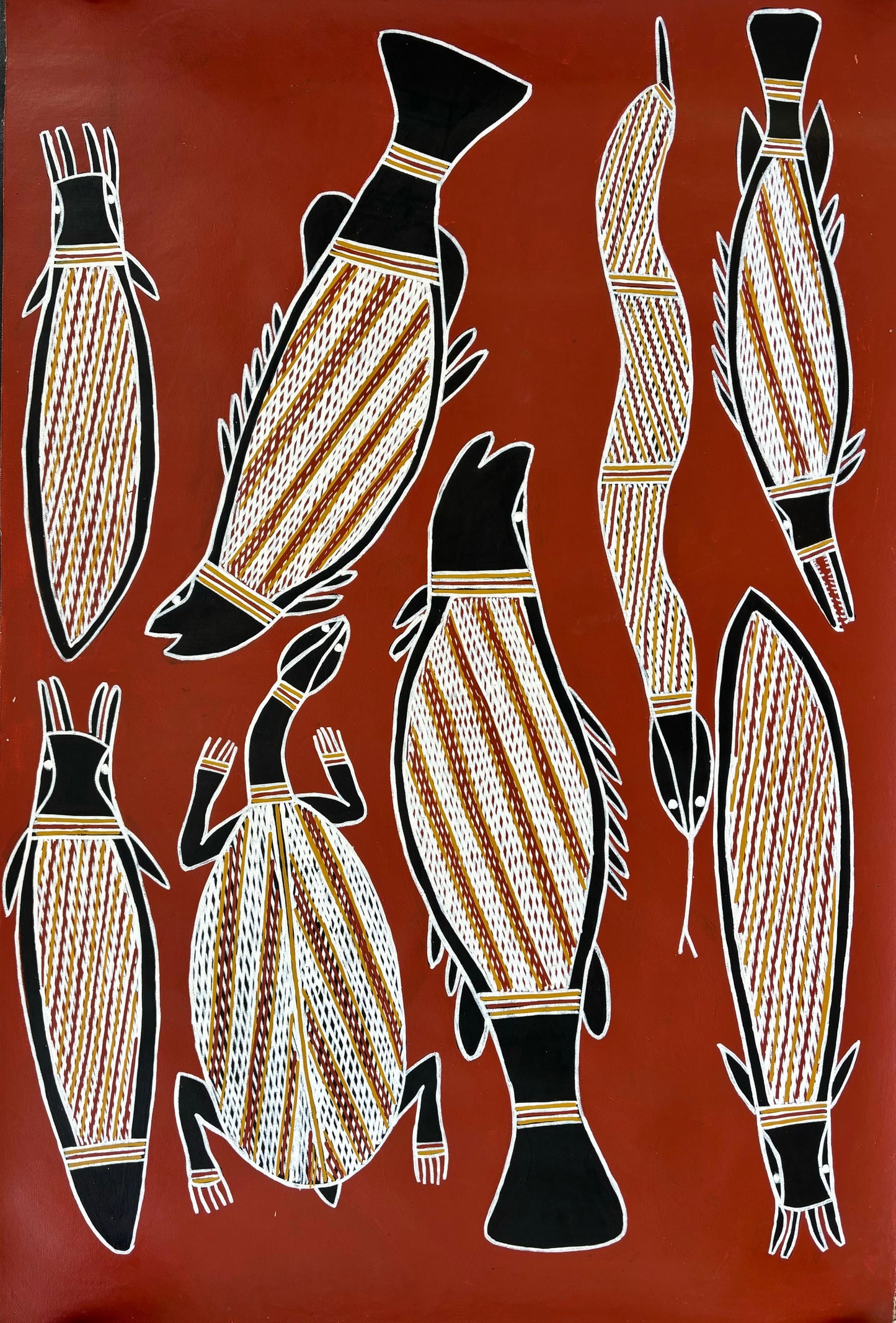 Freshwater Tucker | GA-2889