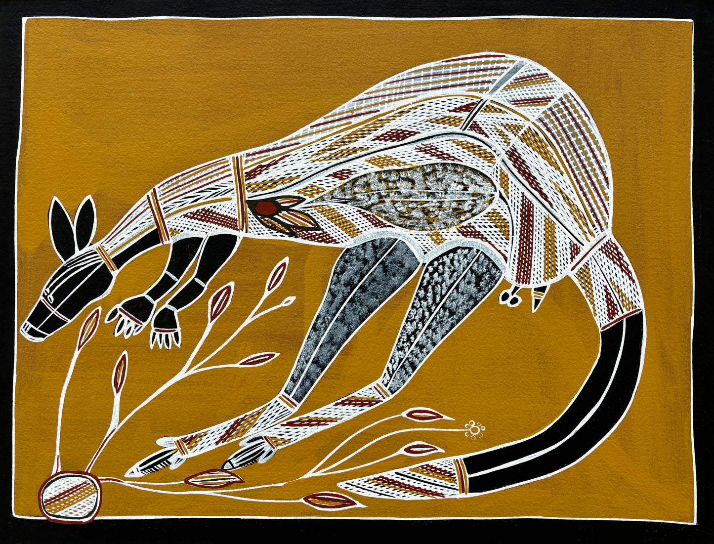 Kangaroo & Wild Yam | GA-3063