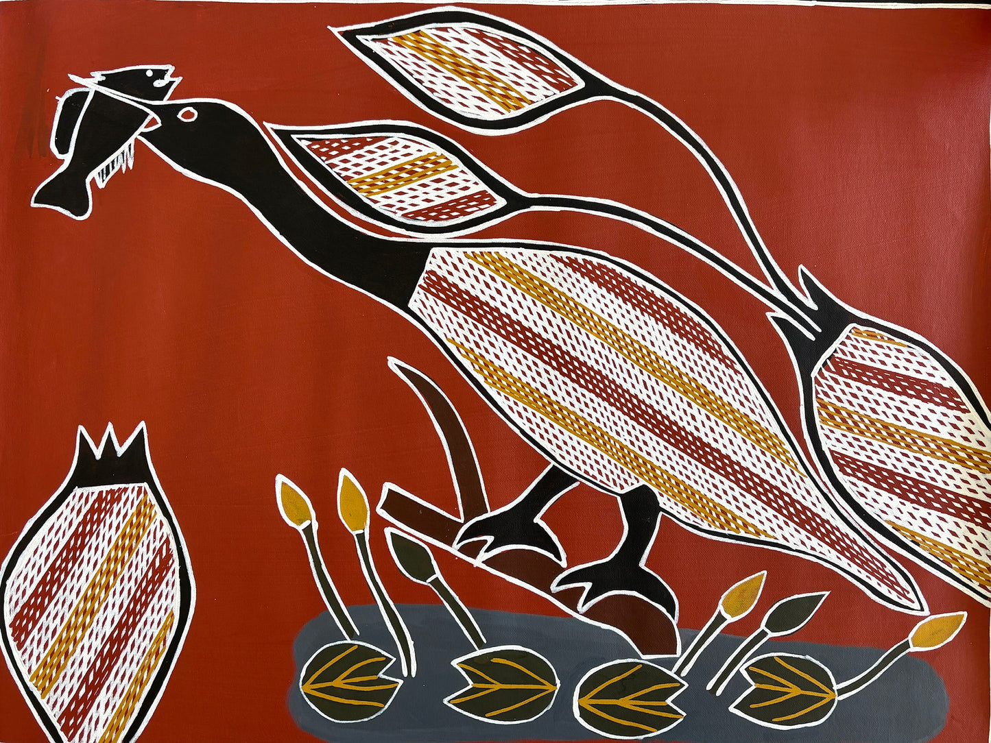 Heron Catching Tucker | GA-3343