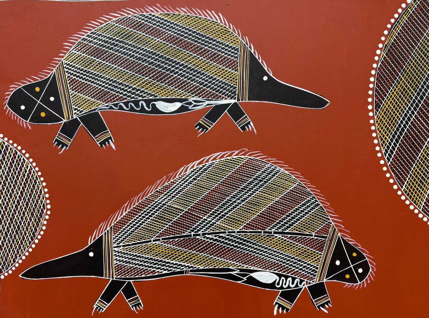 Two Echidna | GA-3465