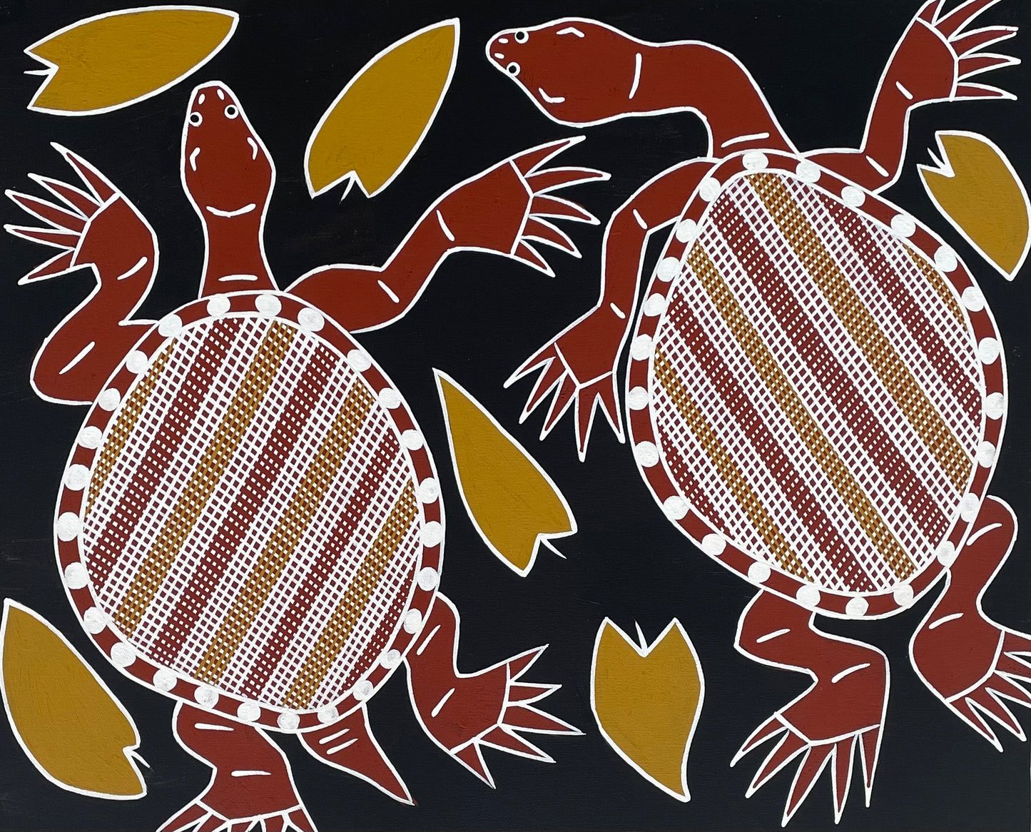 Long and short neck turtle | GA-3805