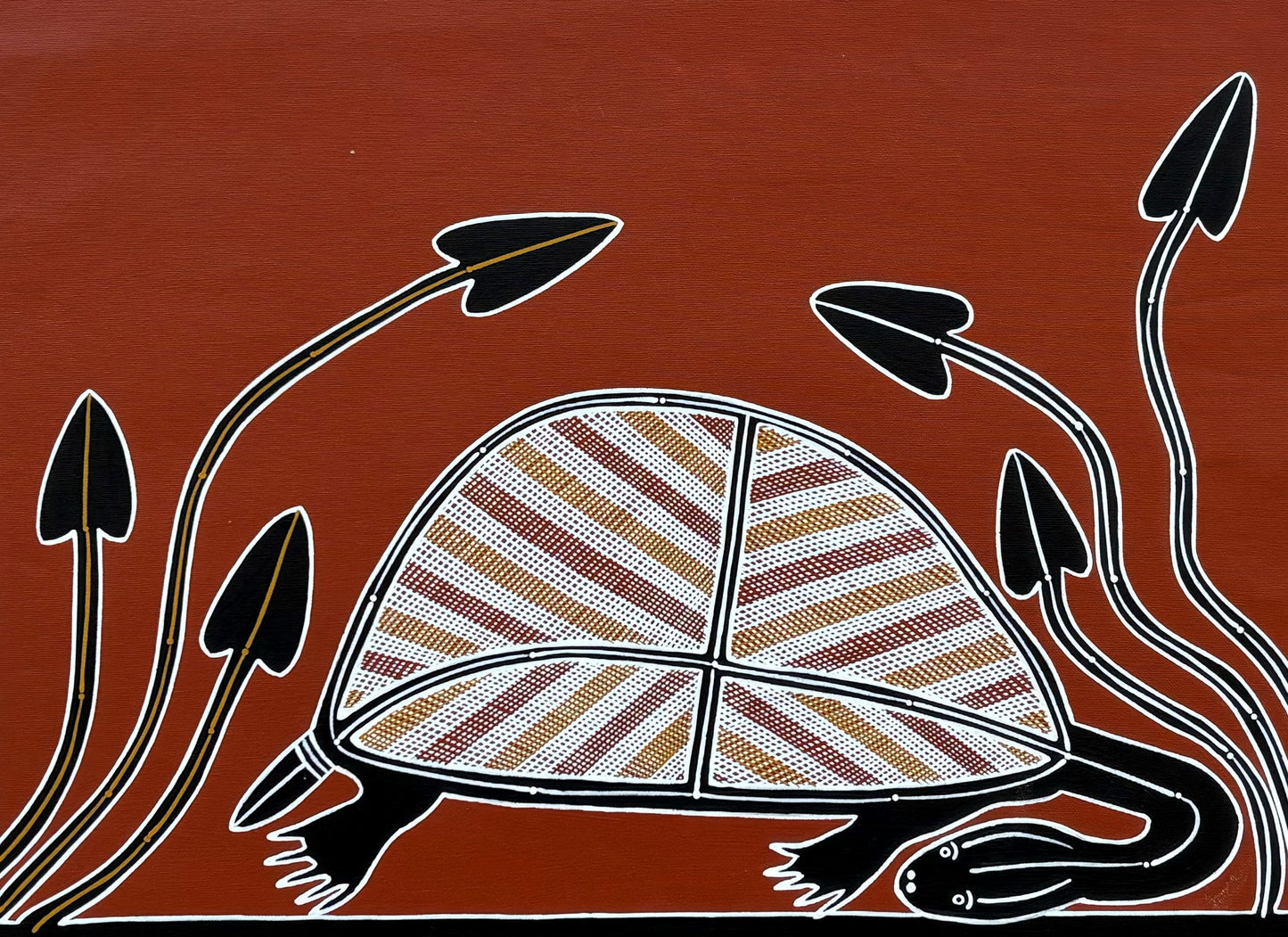 Long Neck Turtle | GA-5428