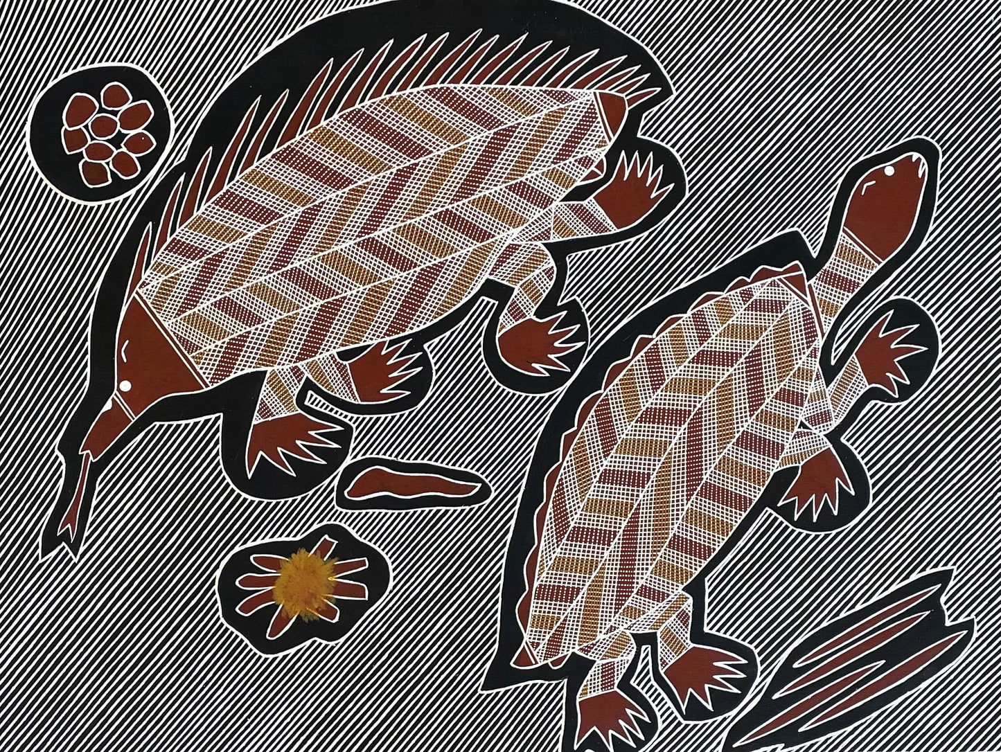 Echidna and Turtle | GA-5759
