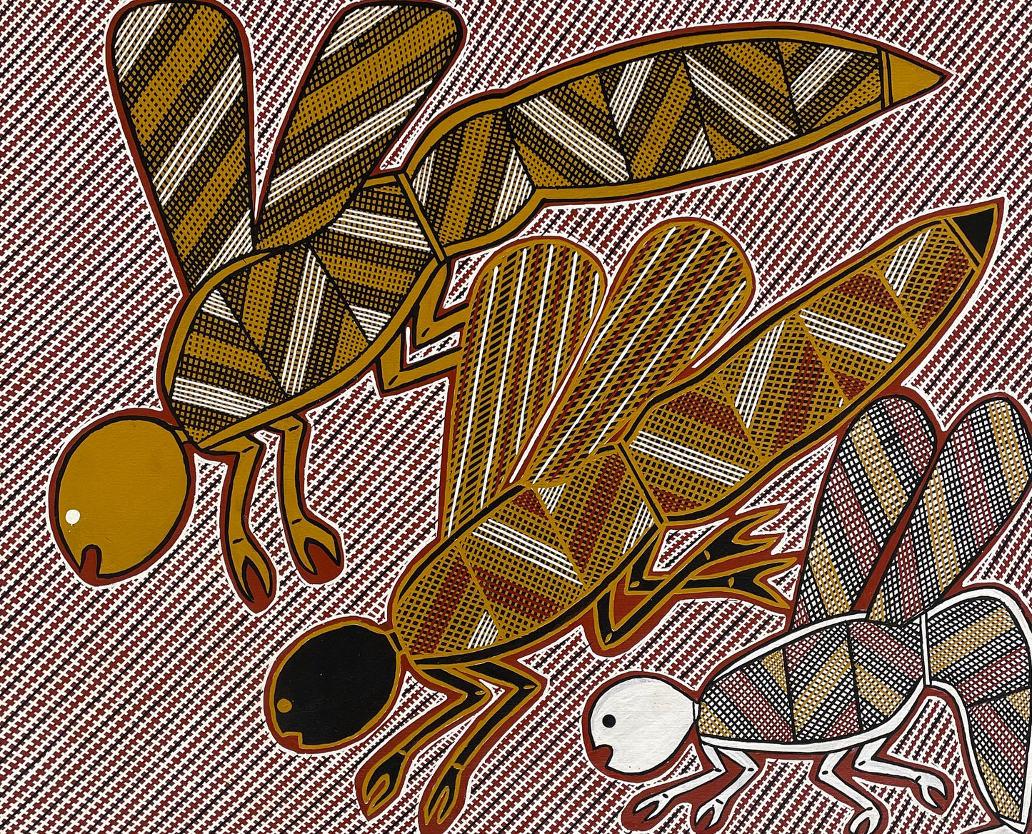 Cicadas | GA-5762