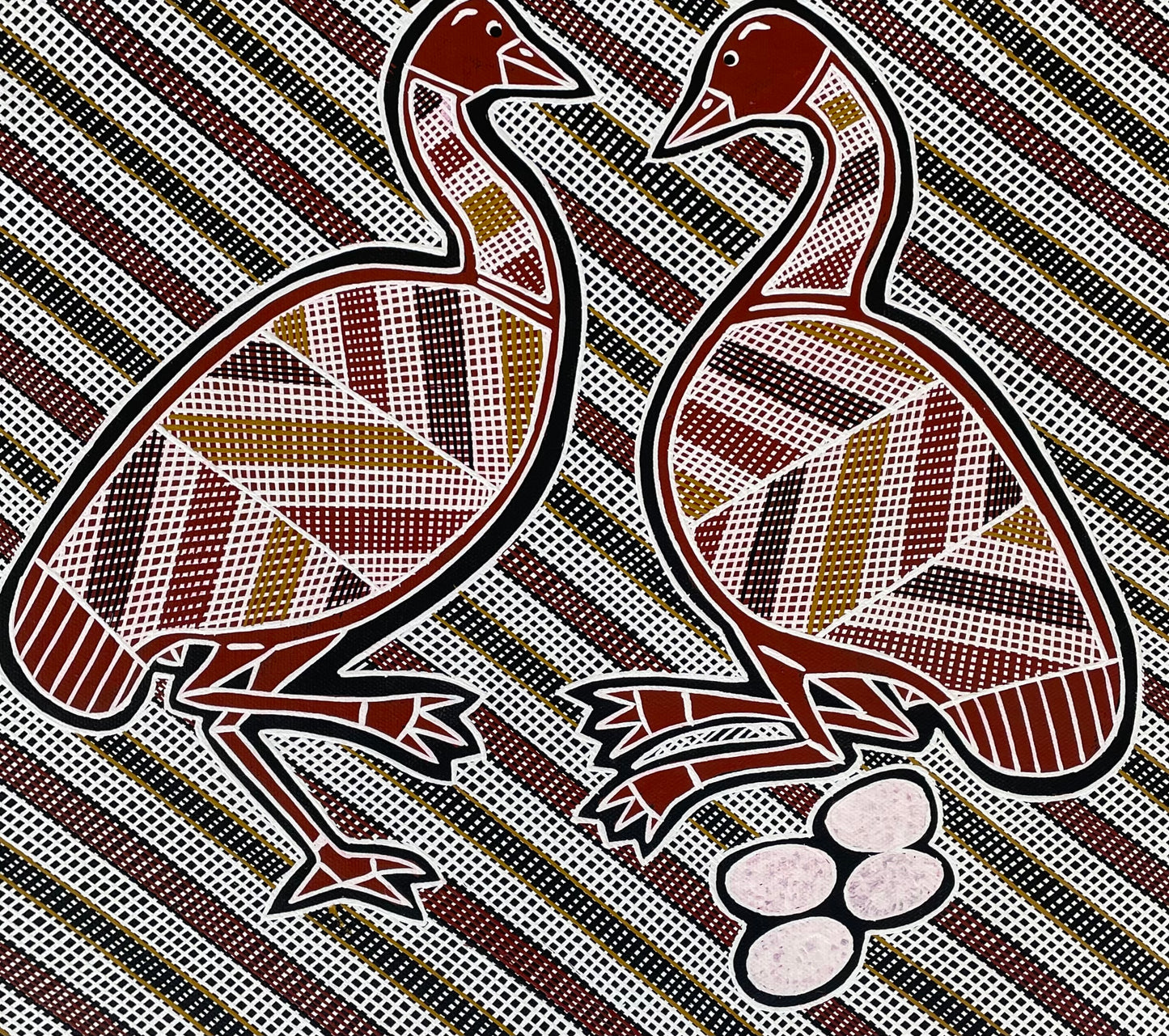 Bush Turkey | GA-5807
