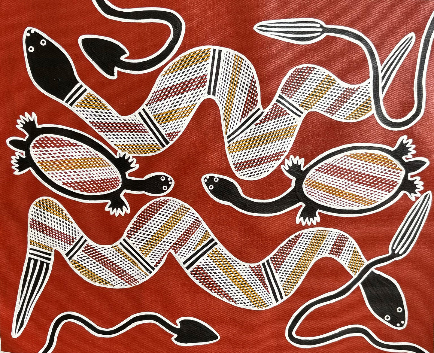 Long Neck, Short Neck Turtles & File Snake | GA-6024