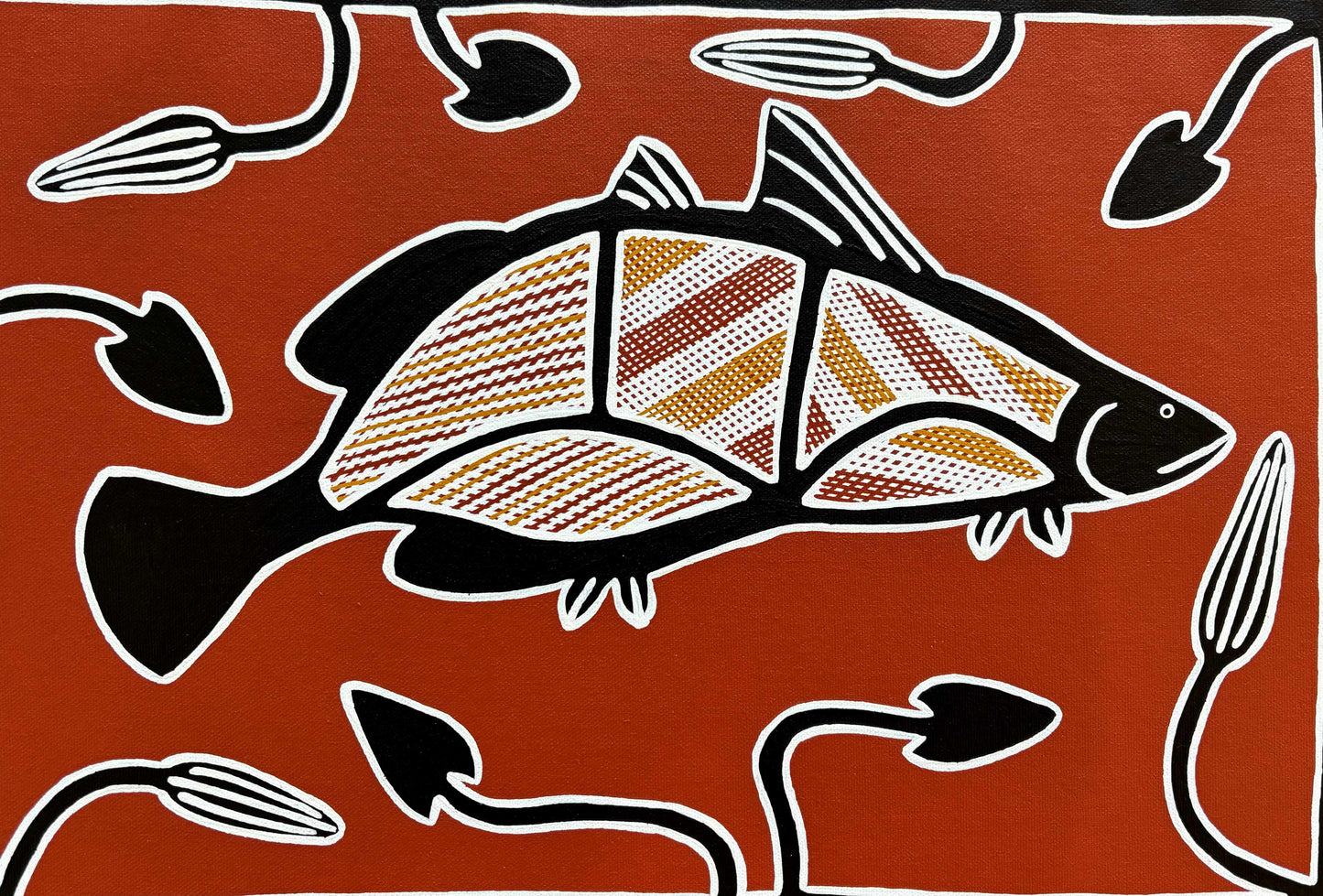 Barramundi | GA-6054