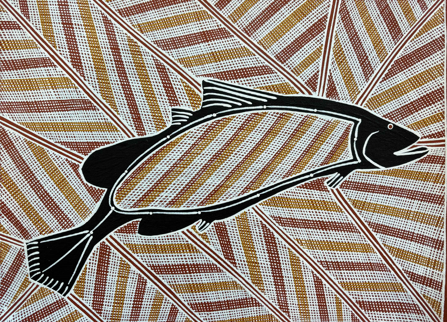 Barramundi | GA-6058