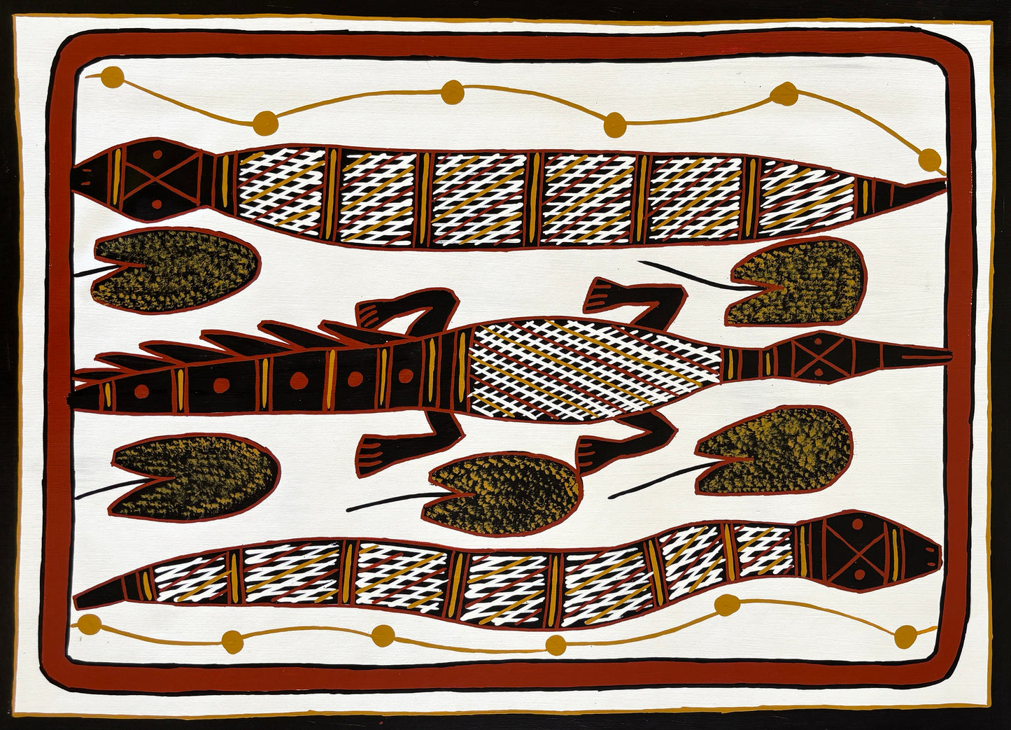 Freshwater Crocodile & Snakes | GA-6209