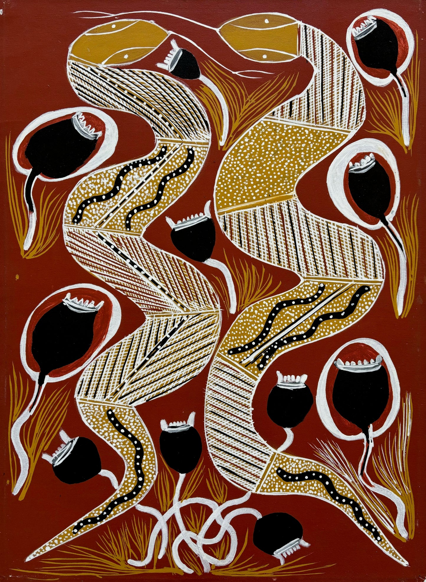 File Snakes and Lily | GA-1953