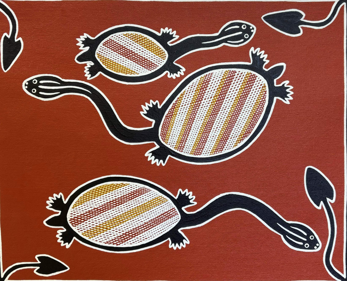 Turtles | GA-6034