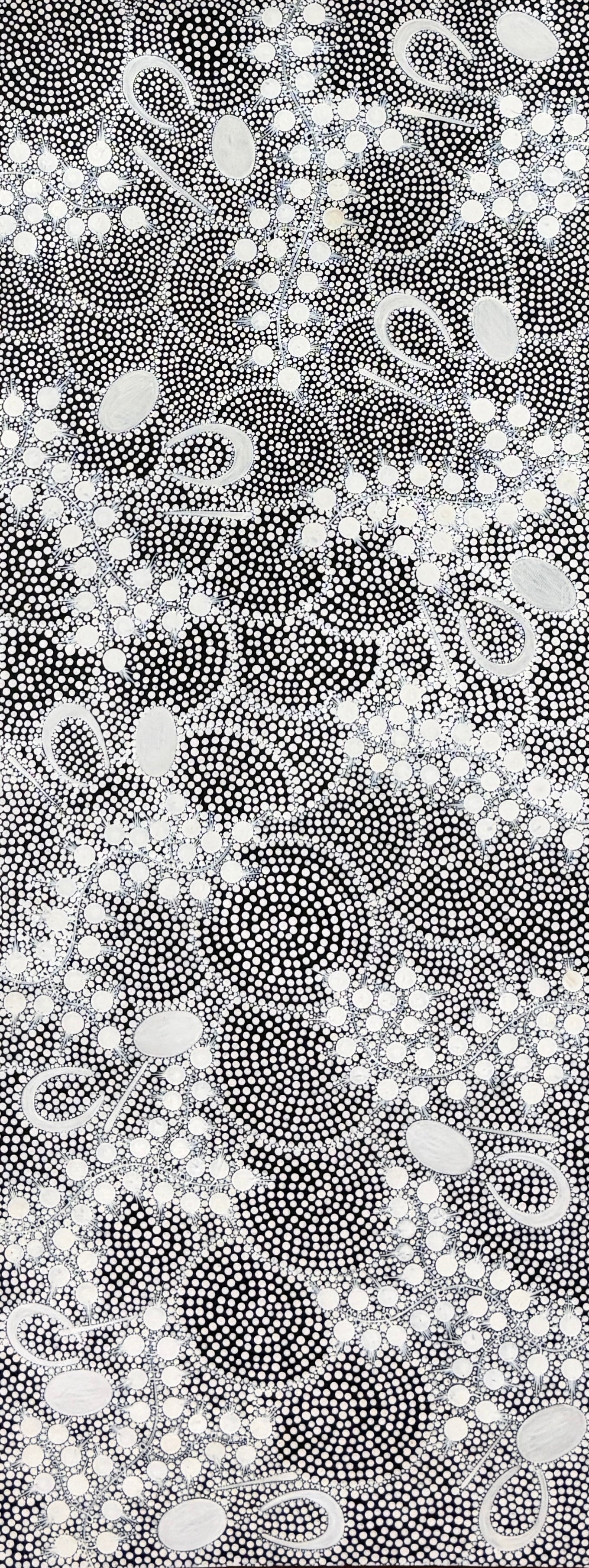 Women are Gathering Wild Bush Onion | GA-4081