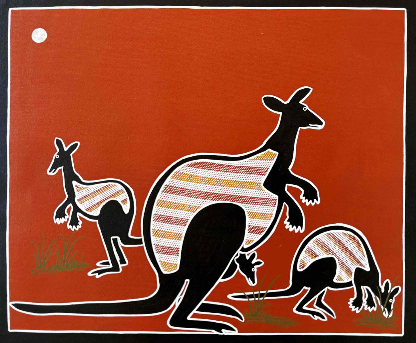 Kangaroos | GA-6061