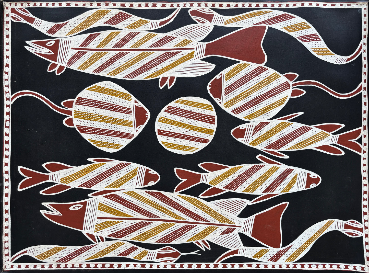 Tucker Billabong | KW-317