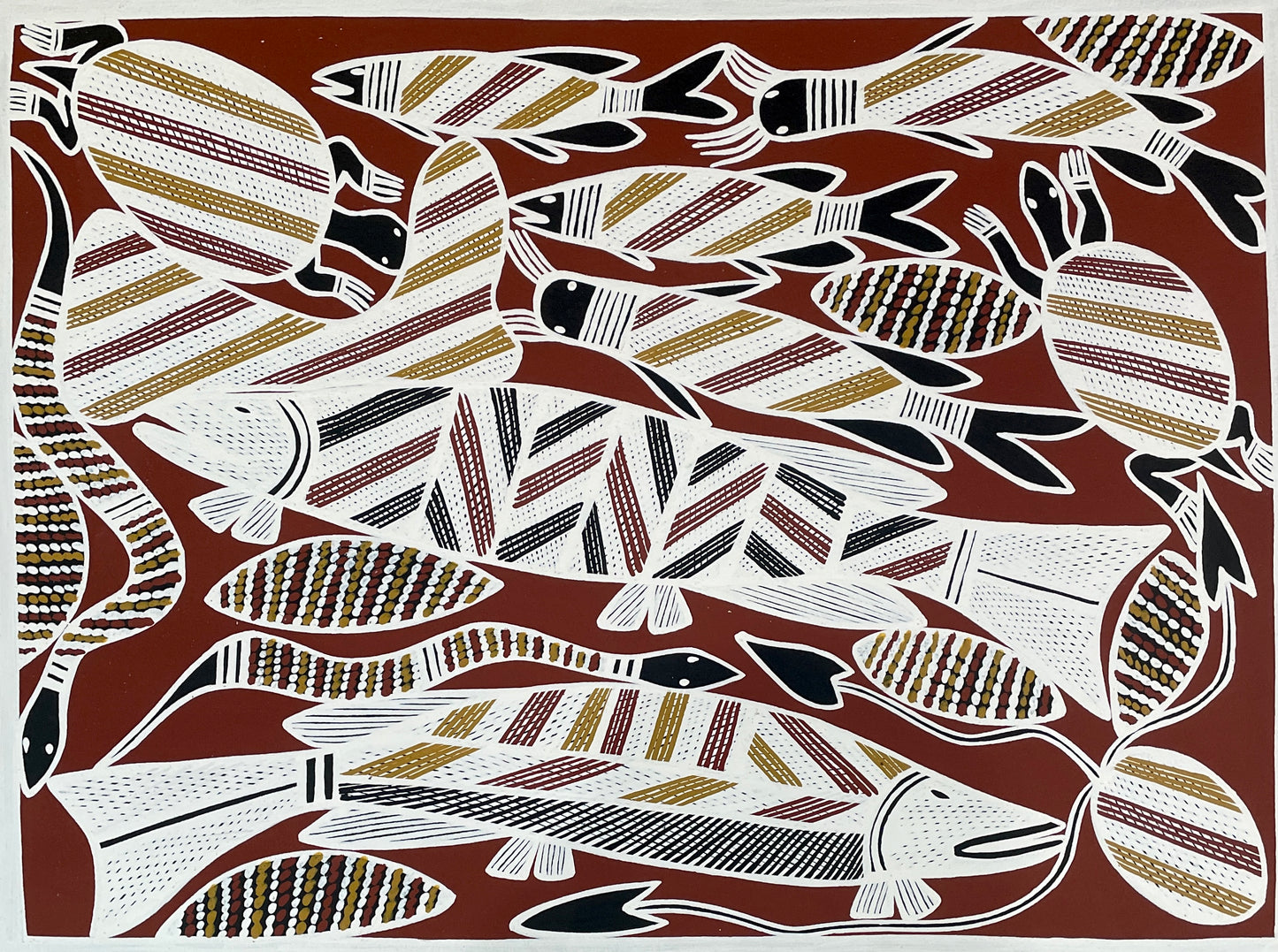 Bush Tucker | KW-452