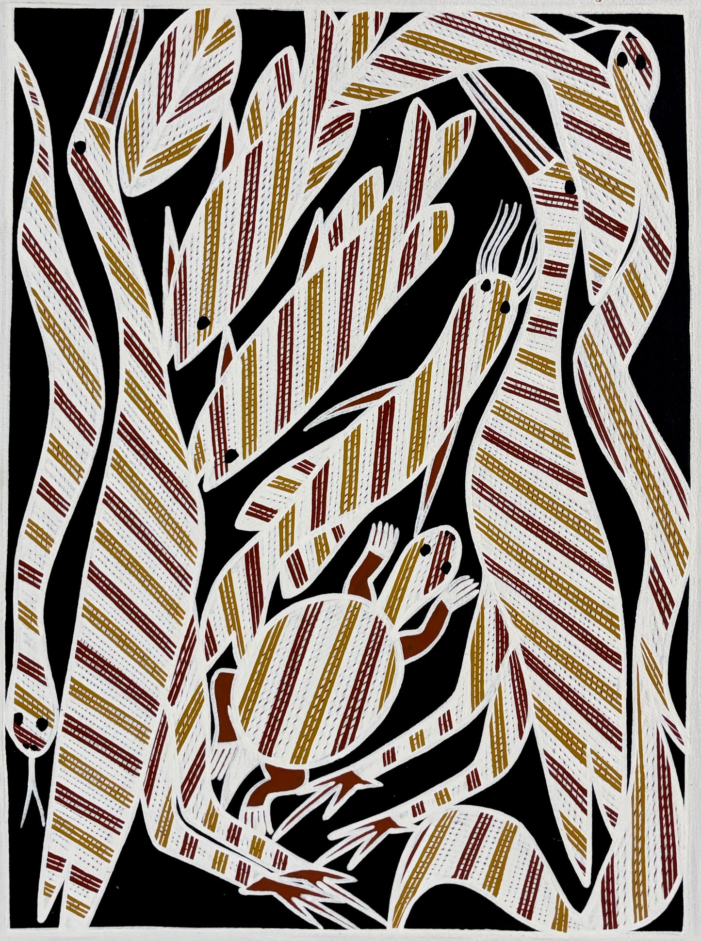 Bush Tucker | KW-548