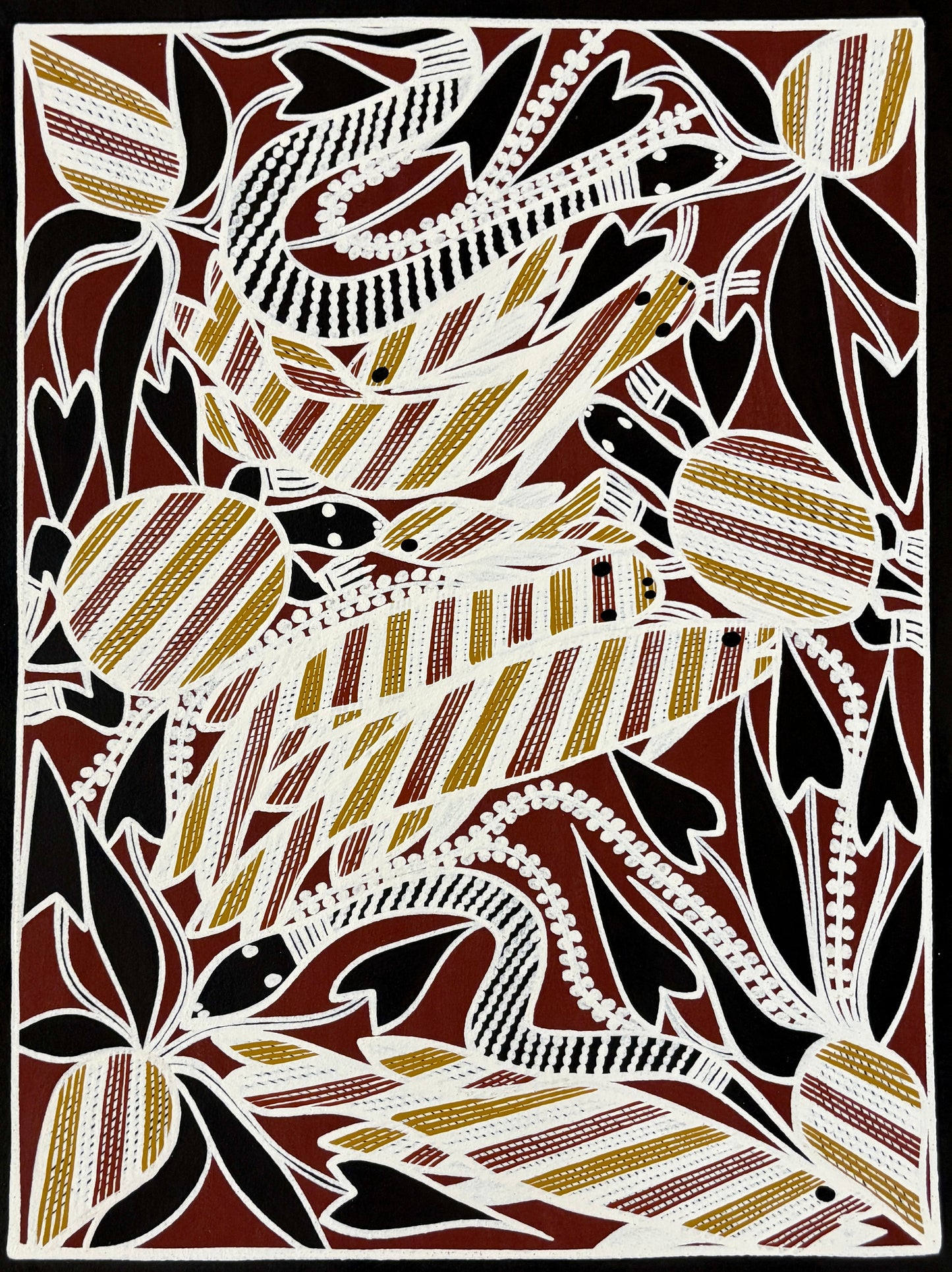 Billabong Tucker | KW-556