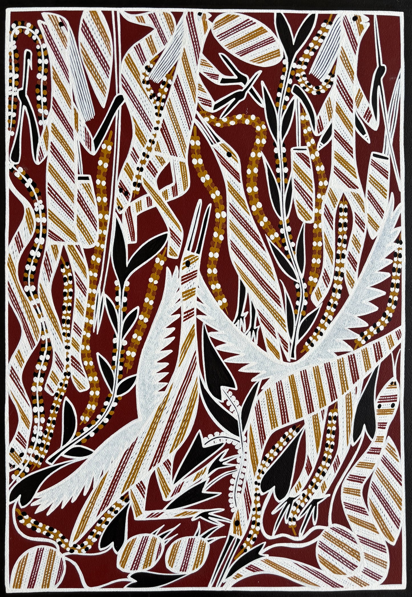 Dancing Mimi with Dancing Brolgas | KW-563