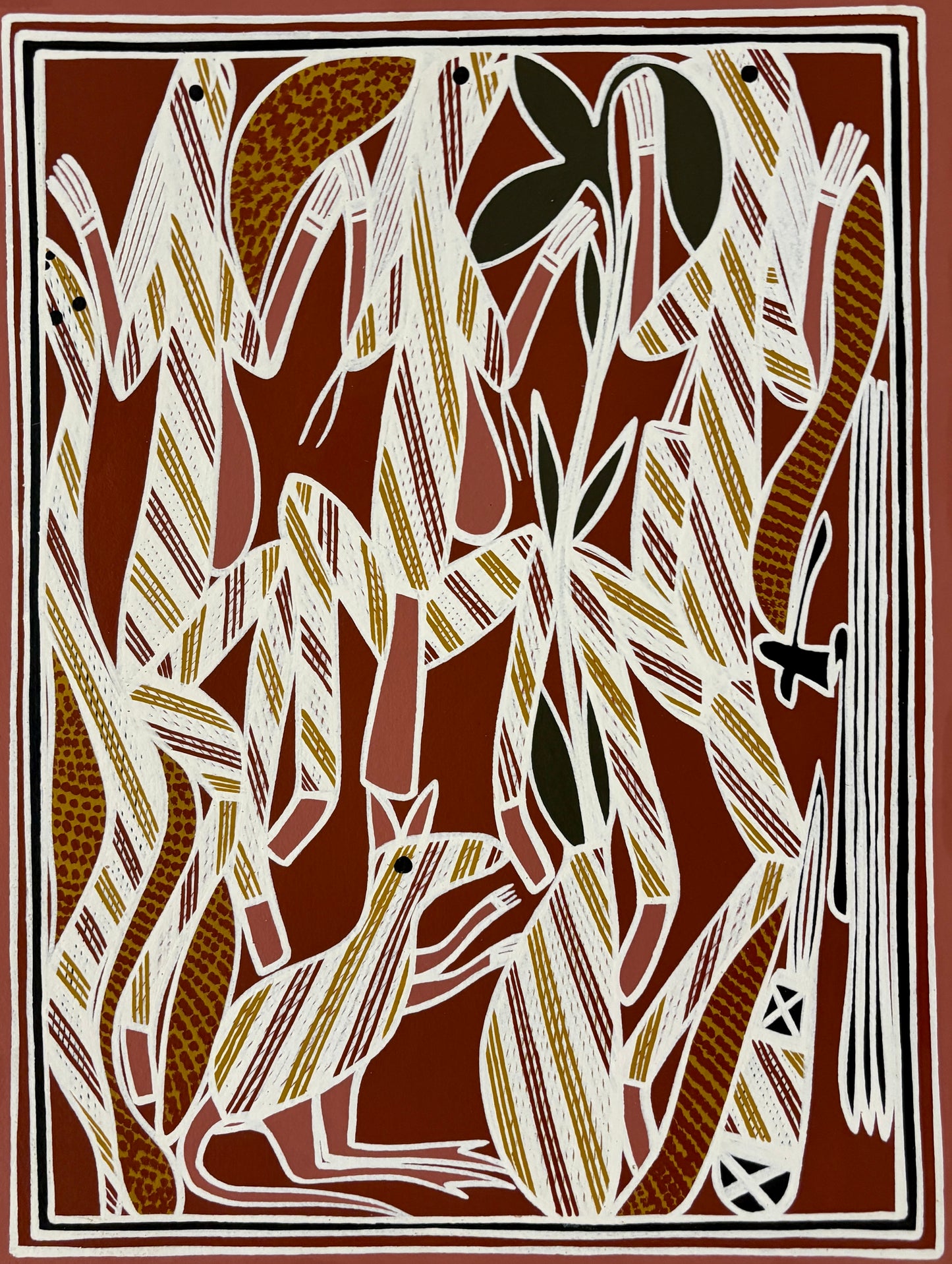 Hunting Mimi with Bush Tucker | KW-625