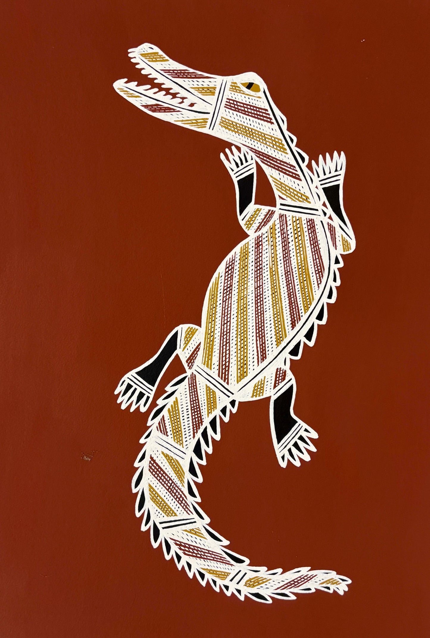 Saltwater Crocodile | KW-653