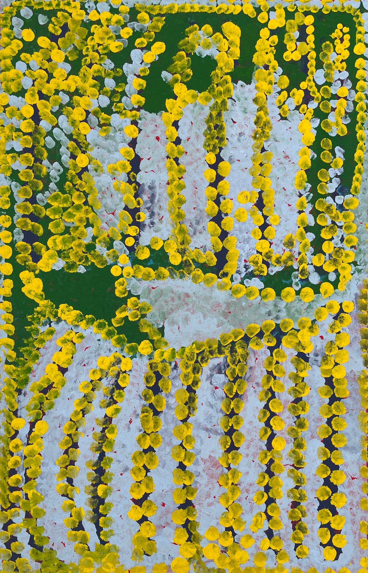 Bush Tomato | LF-063