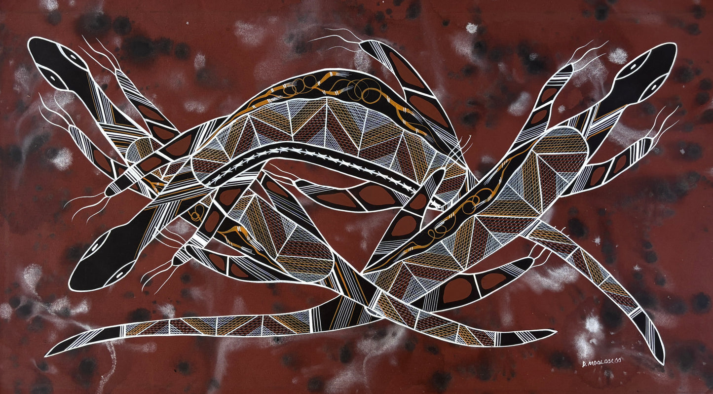 Goannas | PPFA2024-085