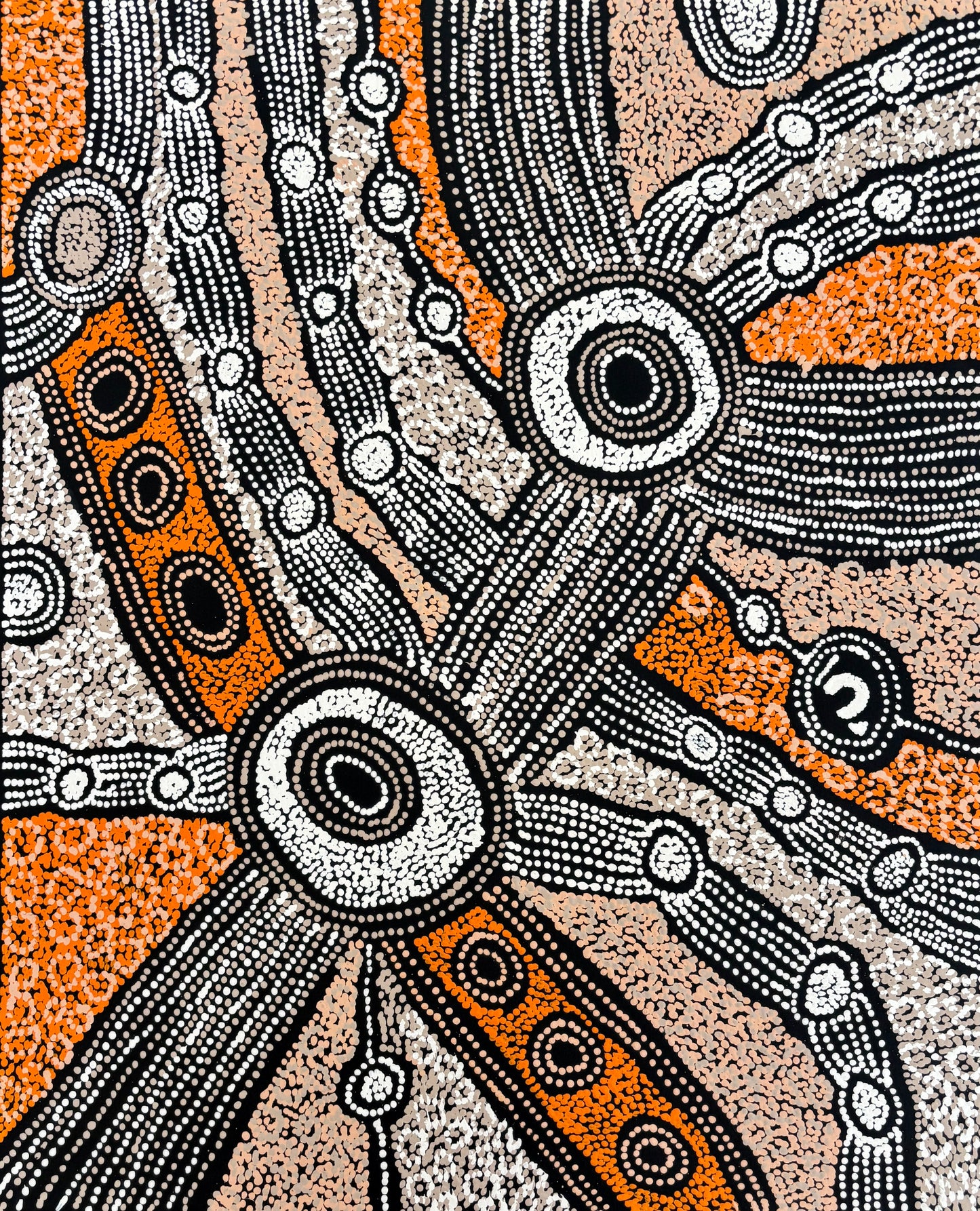 Minma Marlilu Tjukurrpa | PPFACT-1199