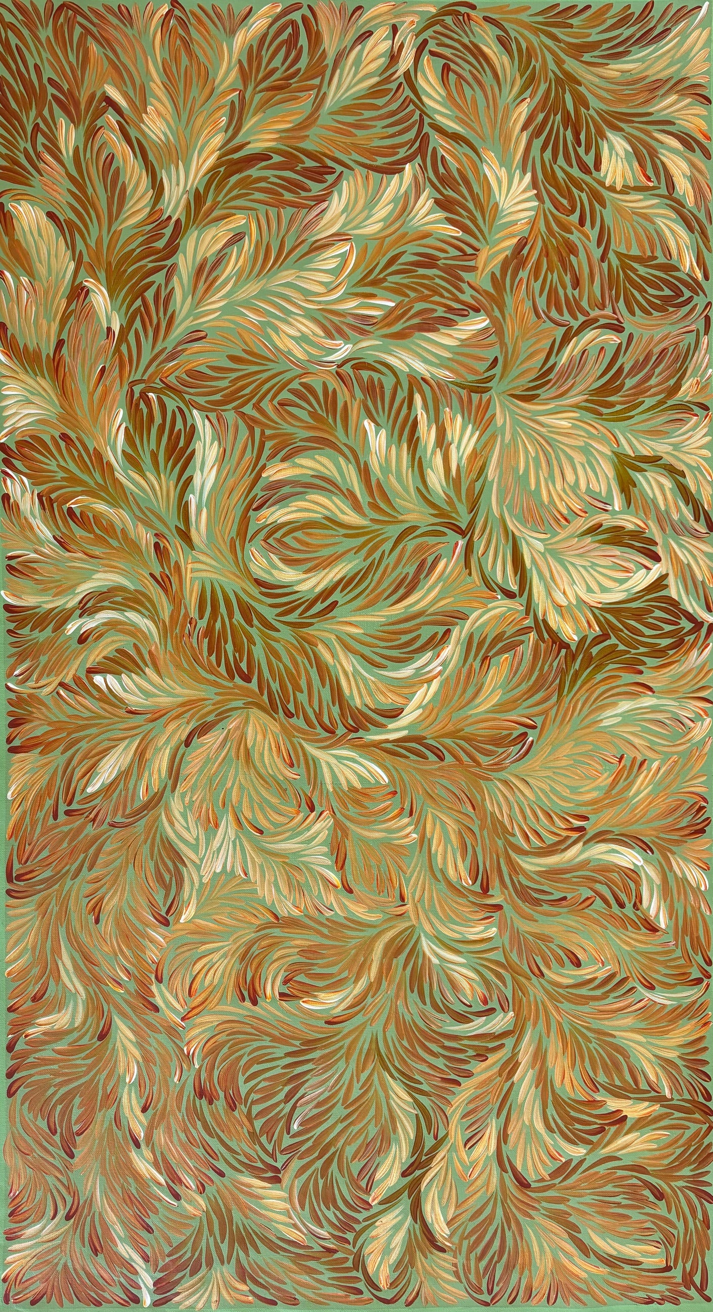 Bush Medicine Leaves | SP-1720