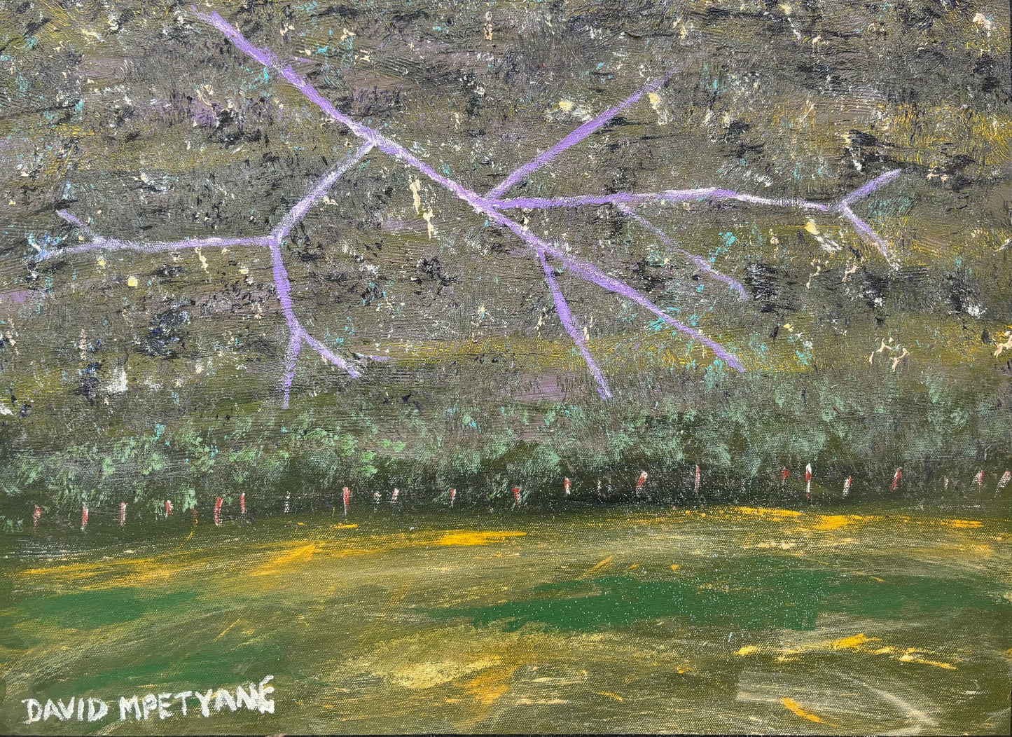 Top End Lightning | SP-2229