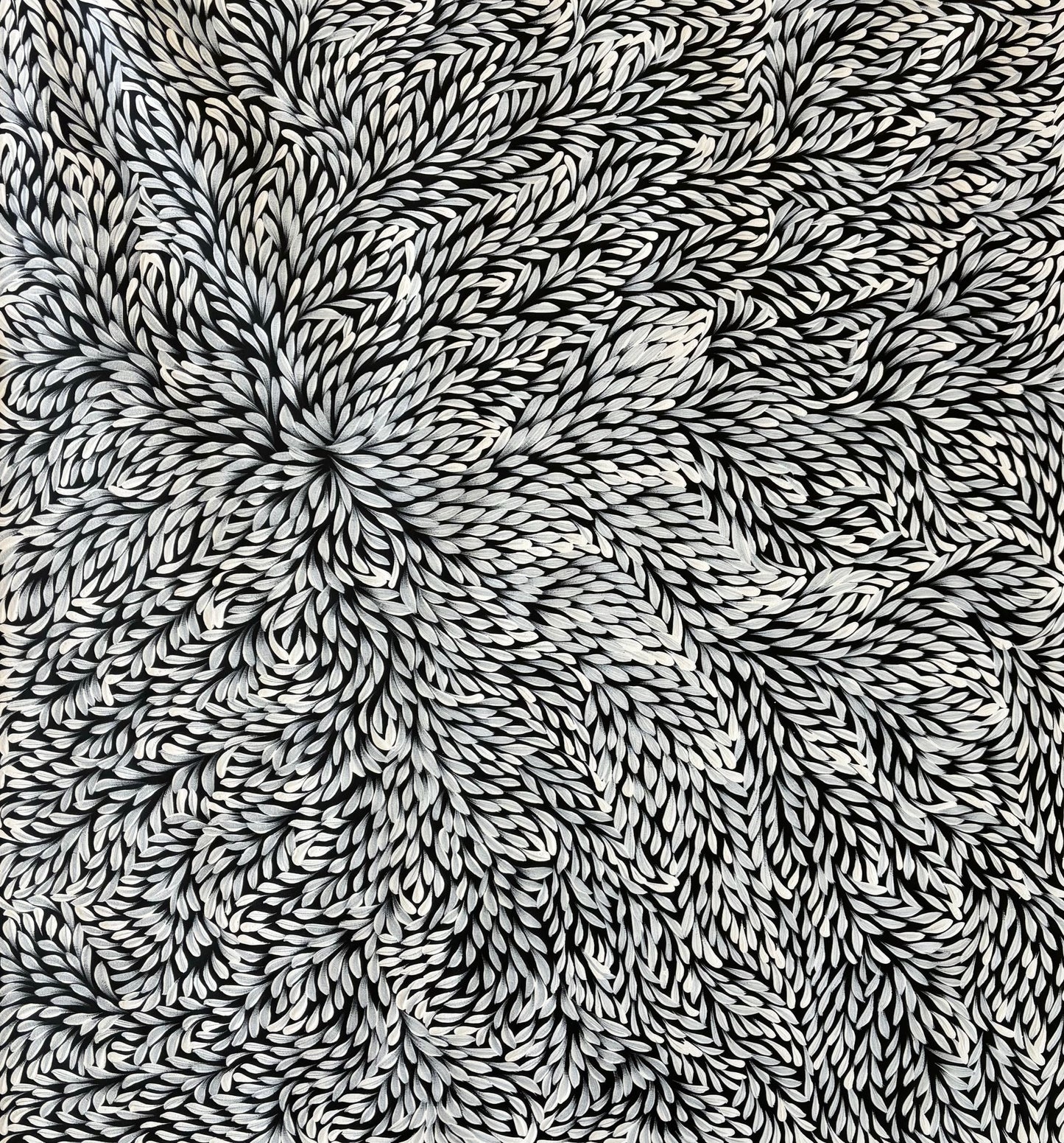 Bush Medicine Leaves | SP-2388